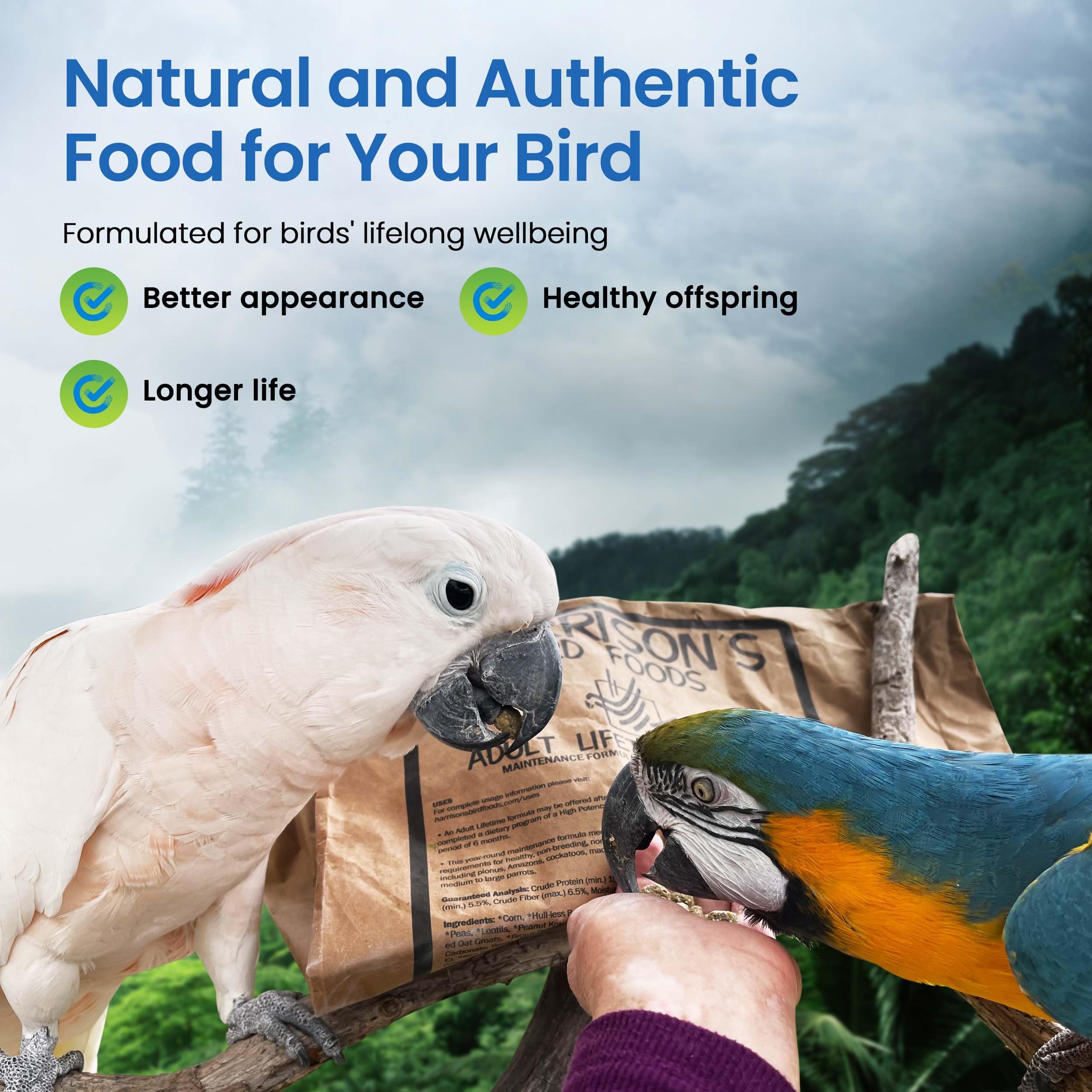 Harrisons Bird Foods Adult Lifetime Coarse Certified Organic Non-GMO Bird Food 25lb
