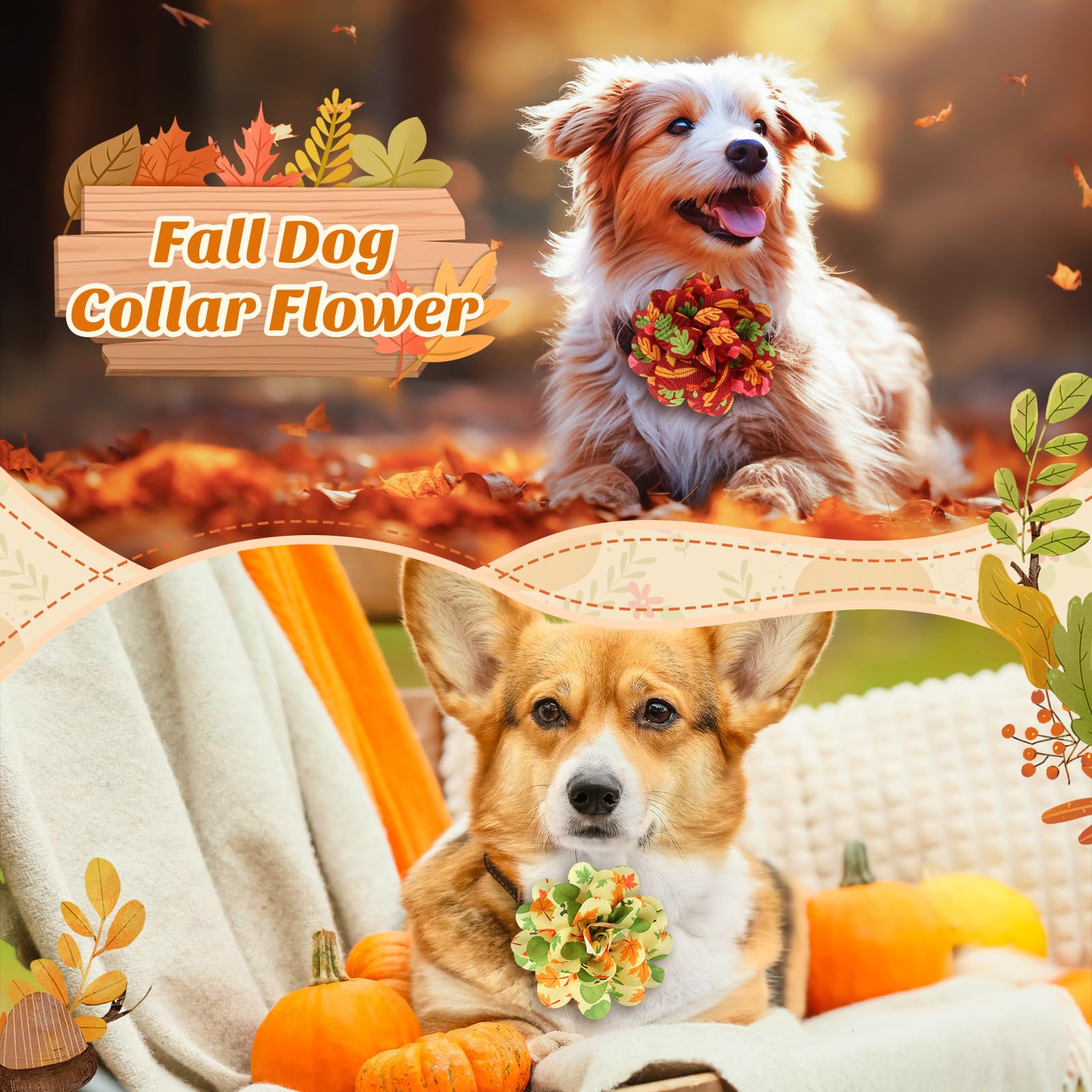 Huhumy 50 Pieces Fall Thanksgiving Dog Collar Flowers Bulk Maple Leaves Dog Charms Grooming Accessories Bow Tie Flower for Pets