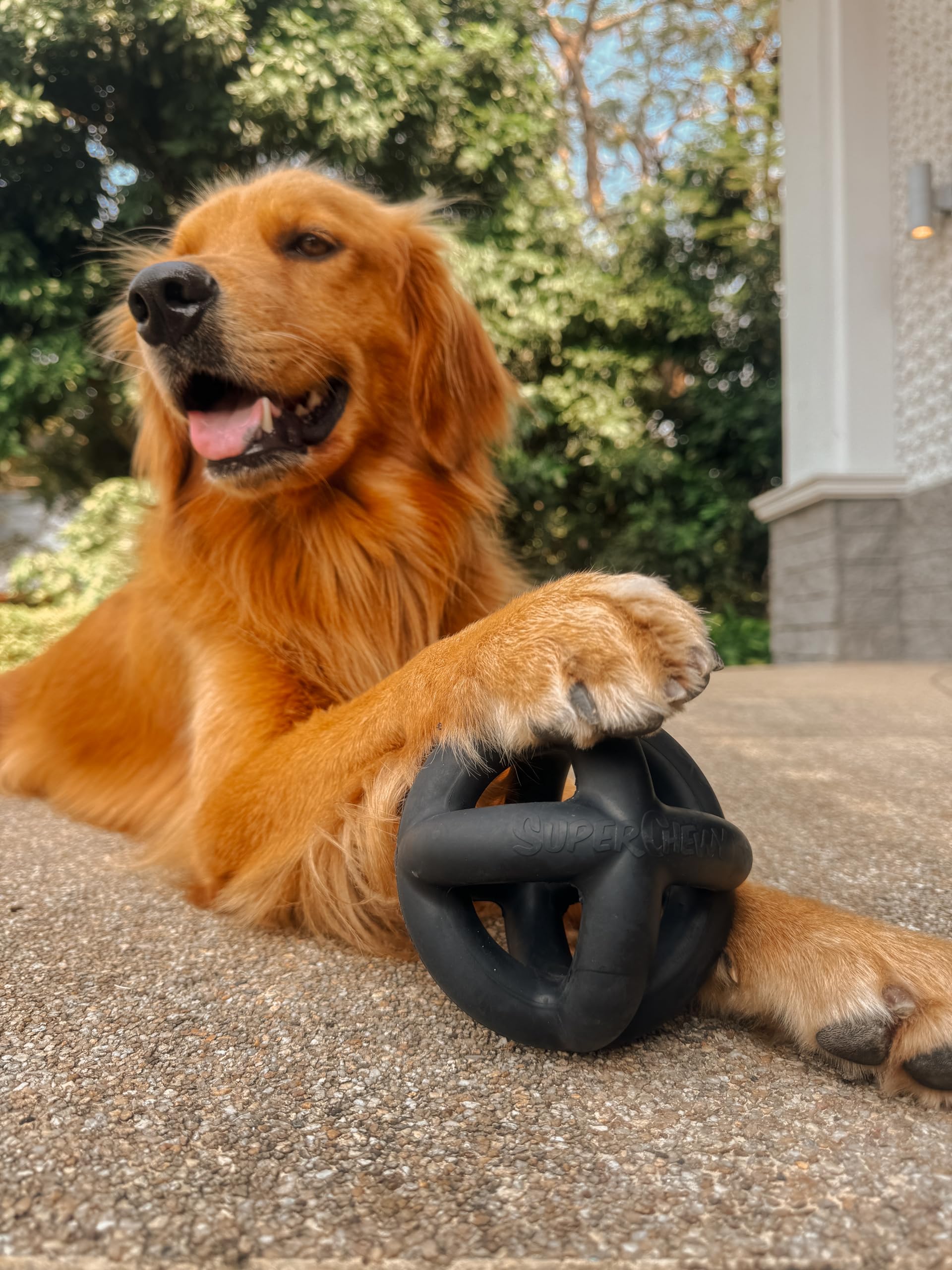Tuff Pupper SuperChewer Cage Ball for Dogs - 5.5" Natural Rubber, Black, Heavy Duty for Medium Large Breeds