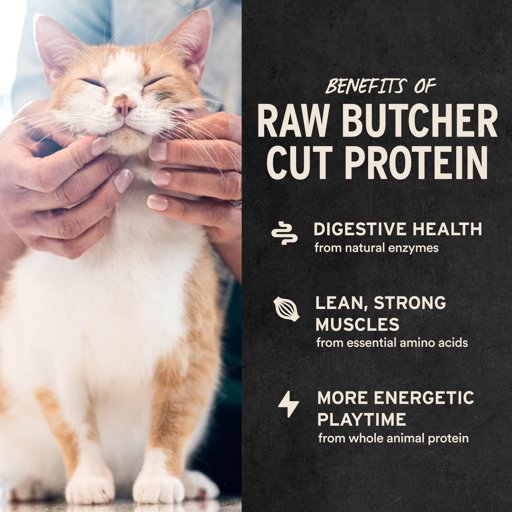 Vital Essentials Chicken Breast Cat Treats, 2.1 oz | Freeze-Dried Raw | Single Ingredient | Grain Free, Gluten Free, Filler Free