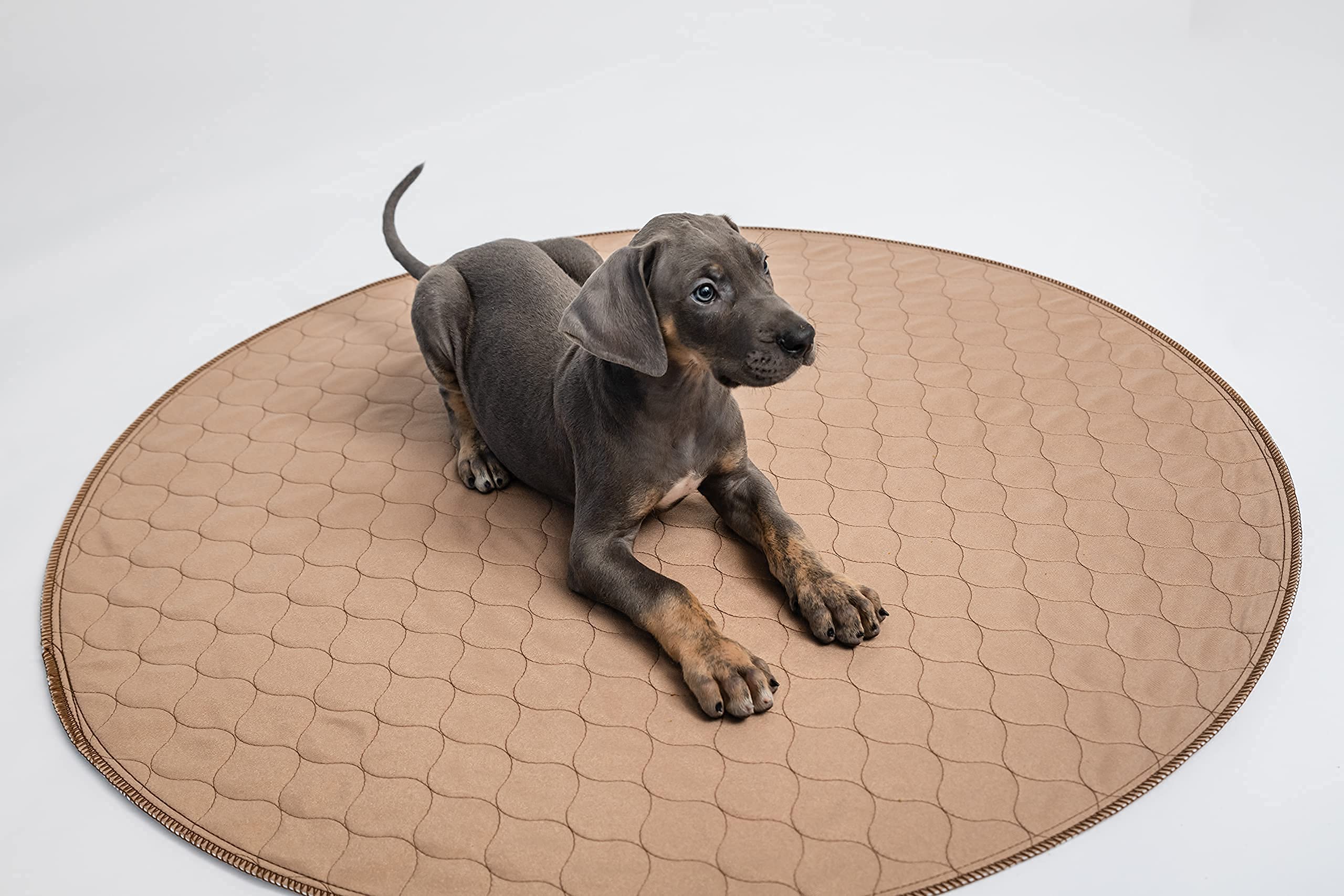 Ezwhelp Washable Whelping Dog Pee Pads - Waterproof And Reusable Potty Training Floor Pads - Absorbent Dog Training Bed - Puppy Training Pads Supplies, Absorbent Pet Pen Floor Pad Puppies, 36-In