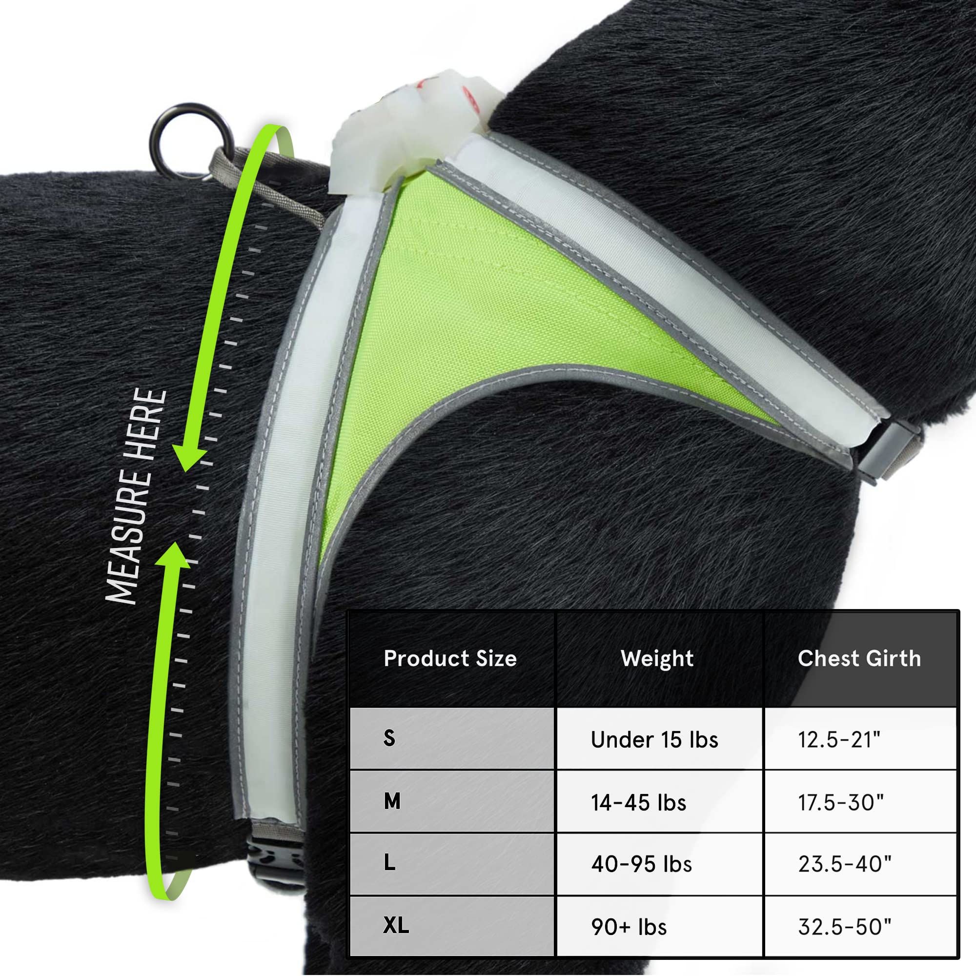 Noxgear Lighthound – Revolutionary Illuminated And Reflective Harness For Dogs Including Multicolored Led Fiber Optics (Usb Rechargeable, Adjustable, Lightweight, Rainproof) (X-Large)