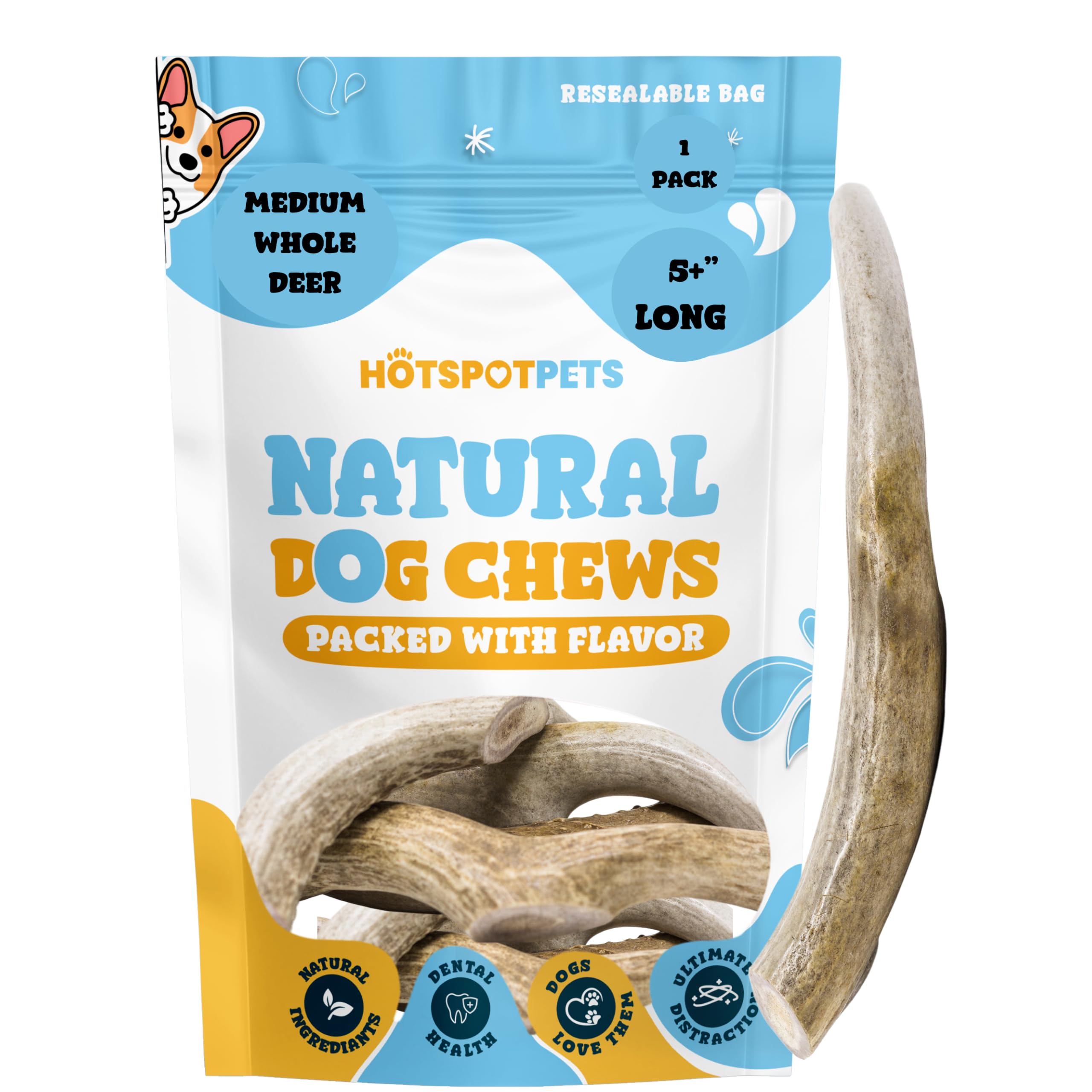 Hotspot Pets Premium Medium Whole Deer Antlers For Dogs - 5+ Inch Sized Antler Dog Chews - Naturally Shed For Small And Medium B
