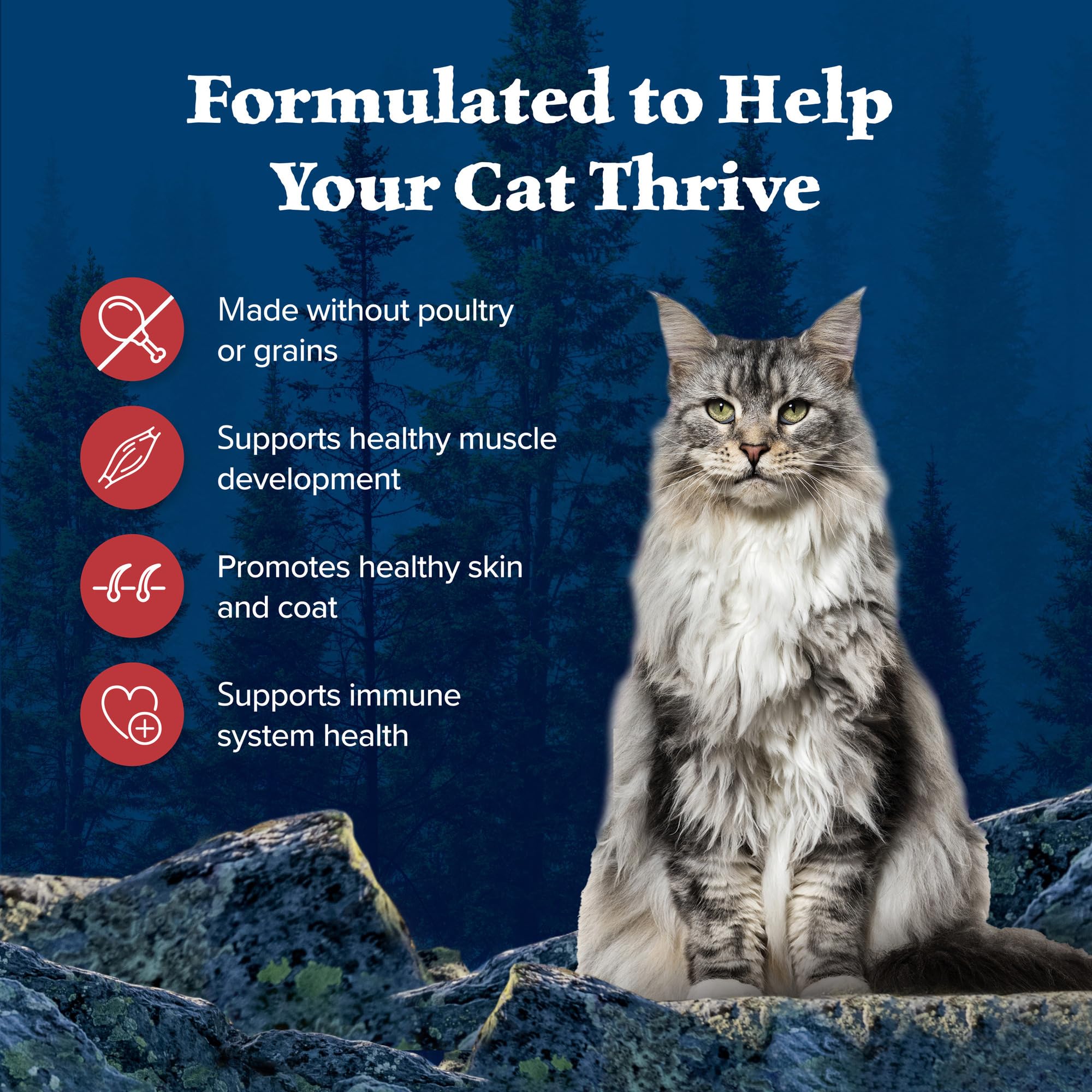 Blue Buffalo Wilderness Adult Dry Cat Food, Rocky Mountain Recipe, Chicken-Free & Grain-Free Recipe Made with Natural Ingredient