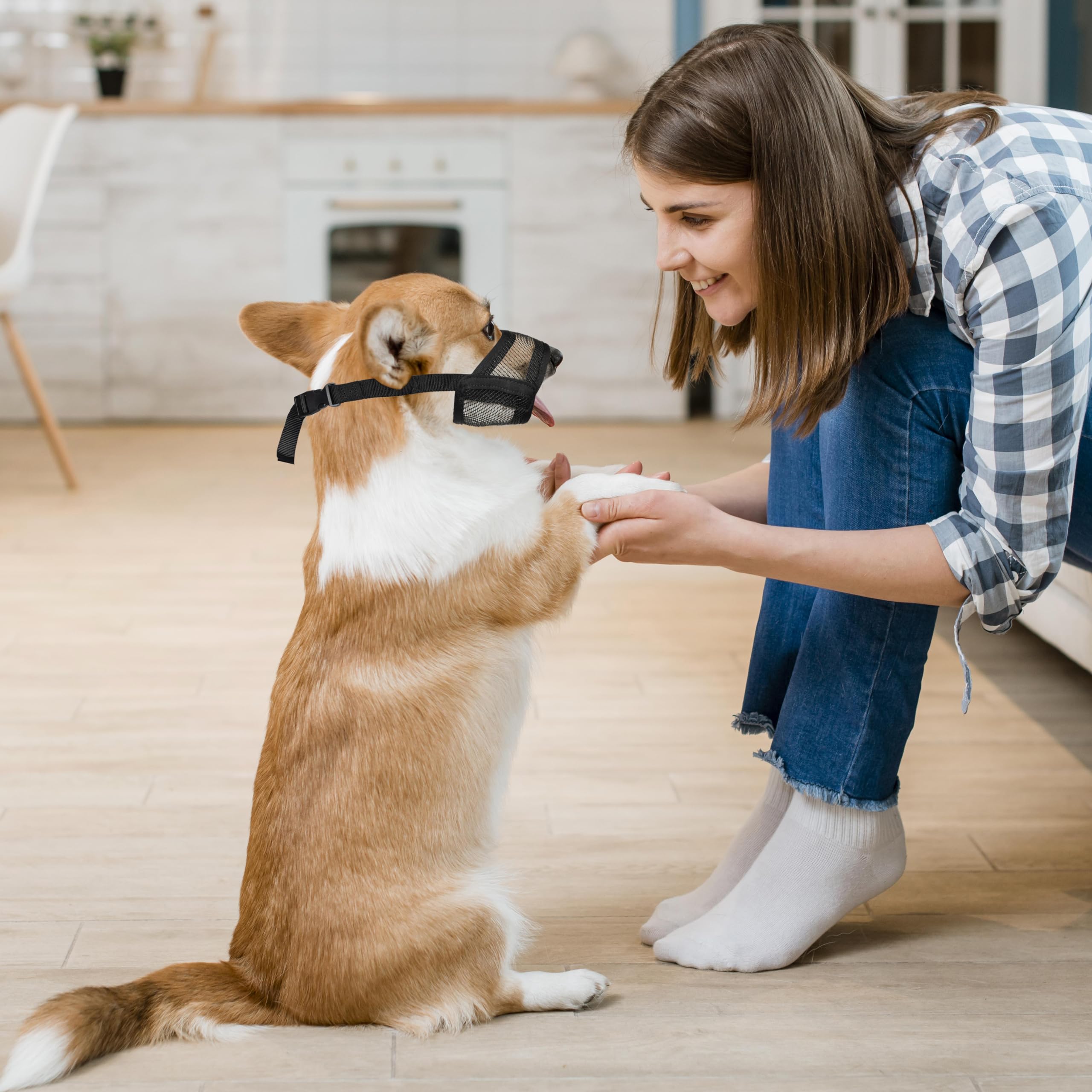 Flintstone Dog Muzzle For Small Dogs - Soft Air Mesh Small Dog Muzzle | Breathable Muzzles To Prevent Biting Chewing Grooming |