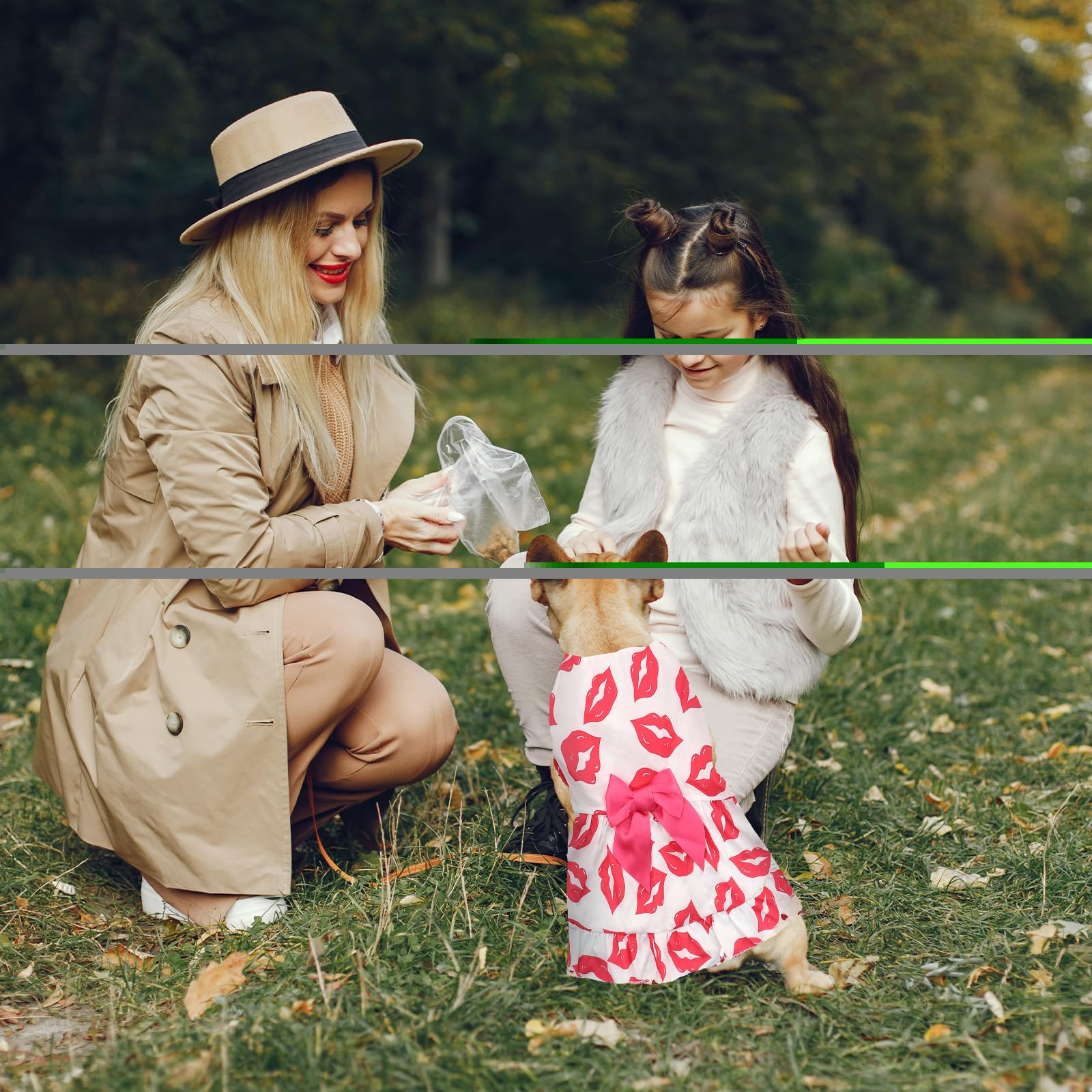 Dog Dress L, Cute White Pet Dress With Red Lip And Pink Bow, Stylish Pet Outfit For 11-13 Lbs Dogs And Cats, Romantic Holiday Cl