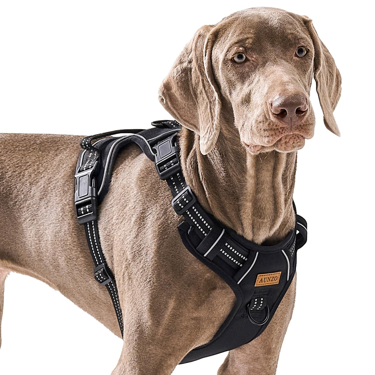 Aunzo No Pull Dog Harness For Large Dogs, Golden Retriever, Labrador, German Shepherd Etc, Easy To Put On And Take Off, Reflecti
