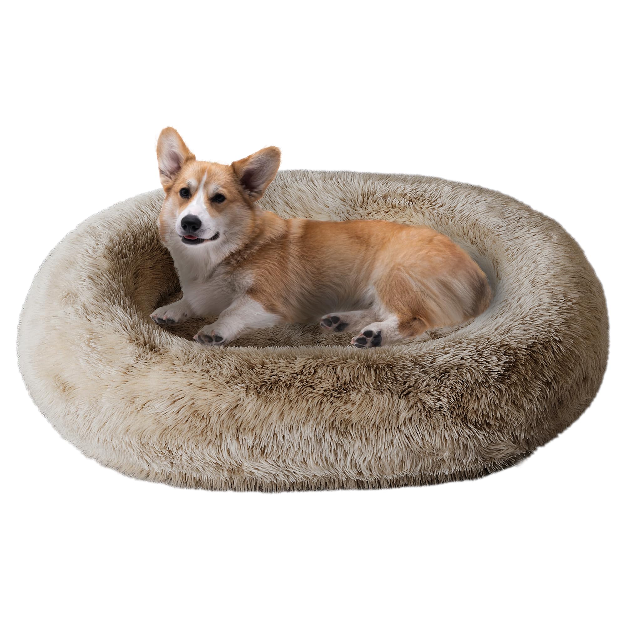 Cozzze Orthopedic Calming Dog Bed for Large Dogs, Anti Anxiety Pet Beds with Supportive Foam, Removable Washable Oval Pets Couch