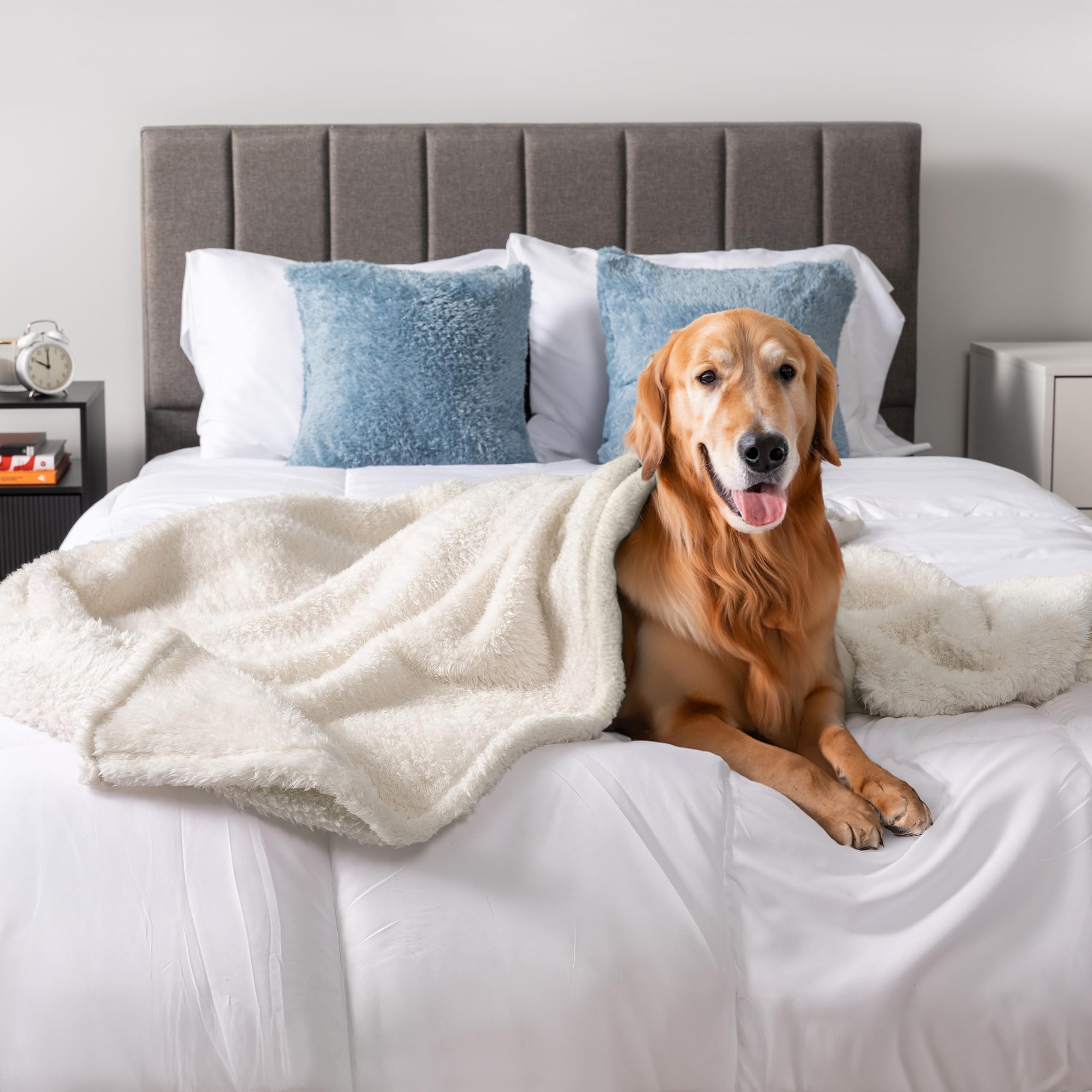 PetAmi Dog Blanket for Large Dogs Beige, Fluffy Soft Puppy Blanket, Sherpa Fleece Cat Blanket for Kitten, Calming Pet Blanket Th