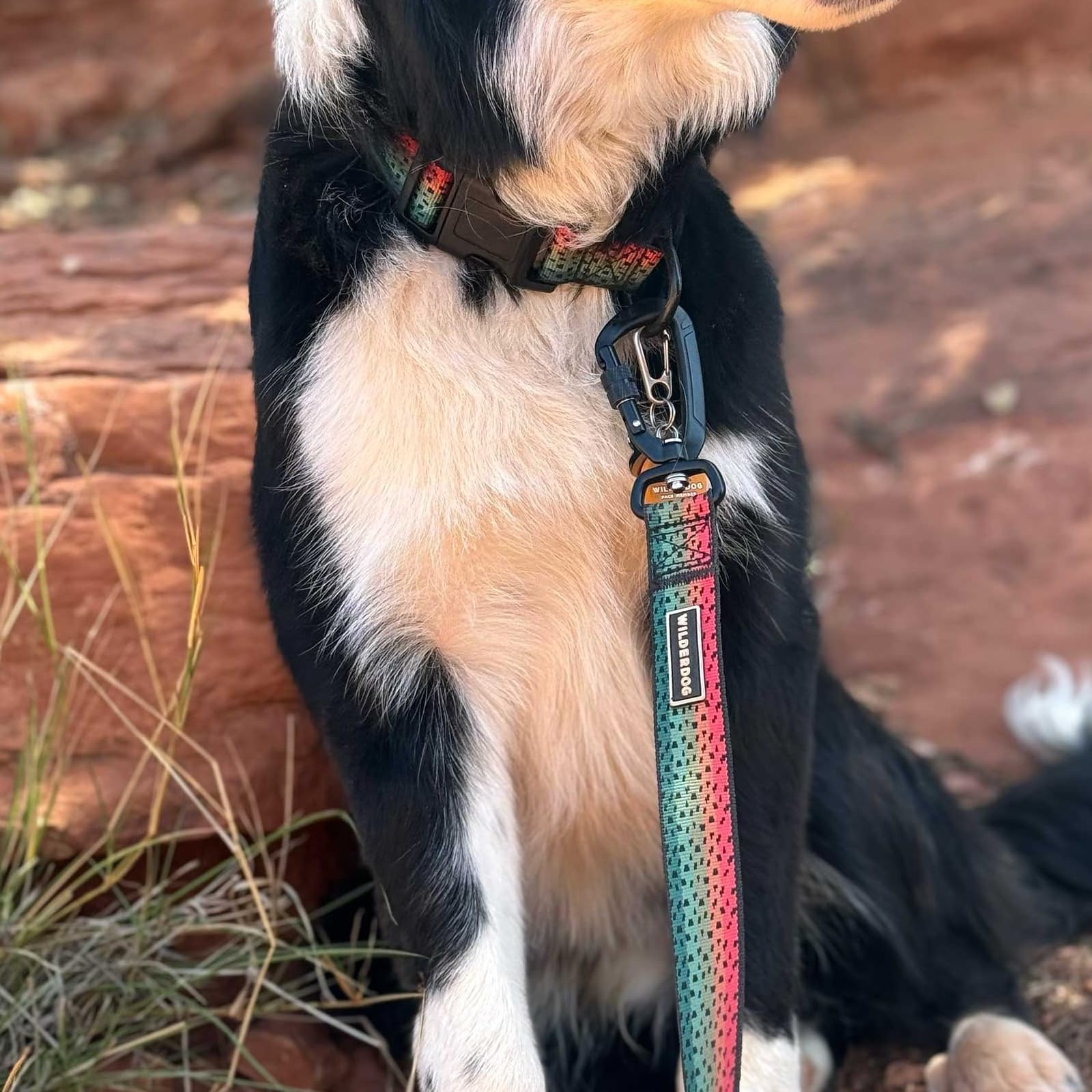 Wilderdog Ultralight Leash Series For Dogs 6 Ft Long And Only 3.75 Oz With Swiveling, Locking Carabiner Attachment And Lightly P