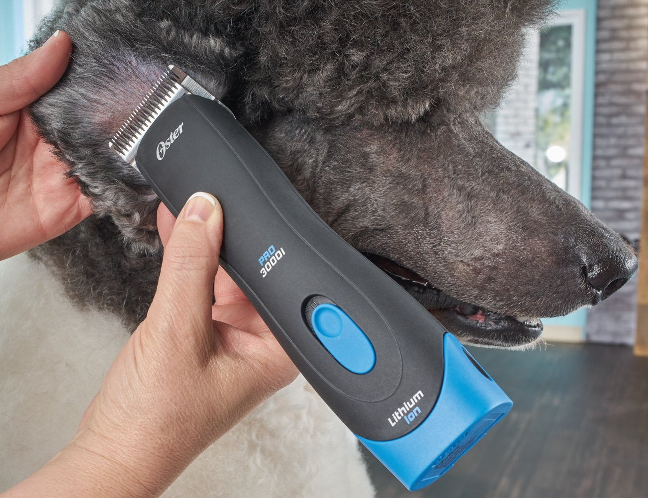 Oster Pro 3000i Cordless Pet Clippers, Size 10 CryogenX Blade, Black/Blue, 6.90 x 1.80 x 1.90 Inch, Professional