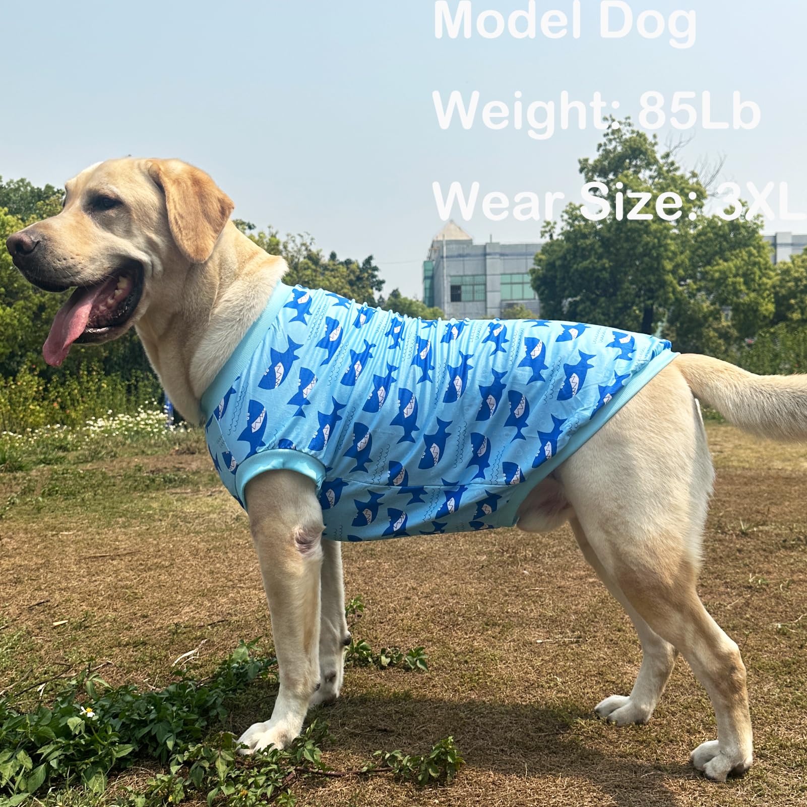 Dog Sleeveless T Shirt Shark Prints Vest Shirt Soft Stretchy Summer Clothes For Large Dog Boys Girls Shirt Large,Shark