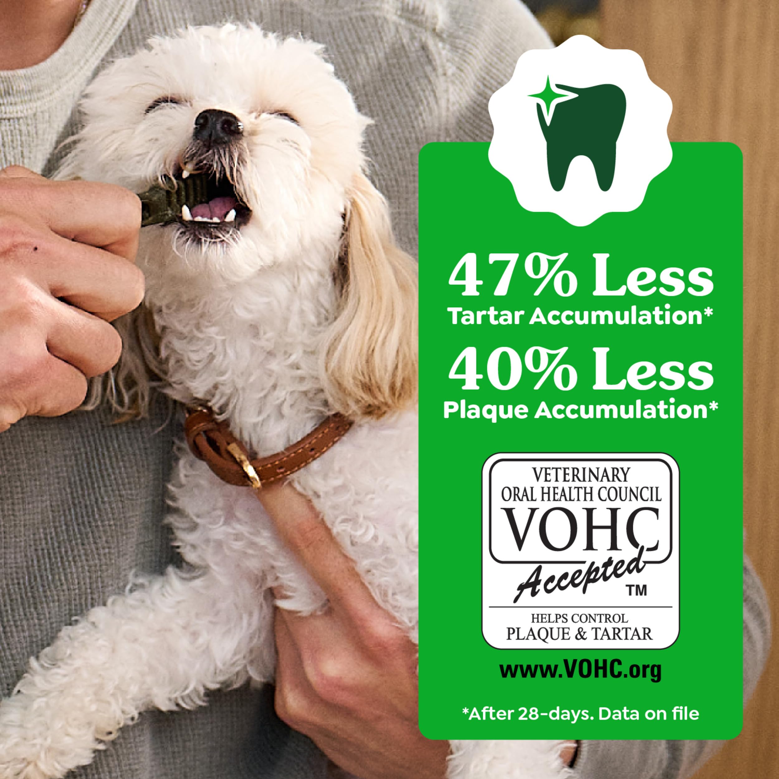 Greenies Teenie Natural Dog Dental Treats, Sweet Potato Flavor, 12 oz. Pouch (43 Treats)