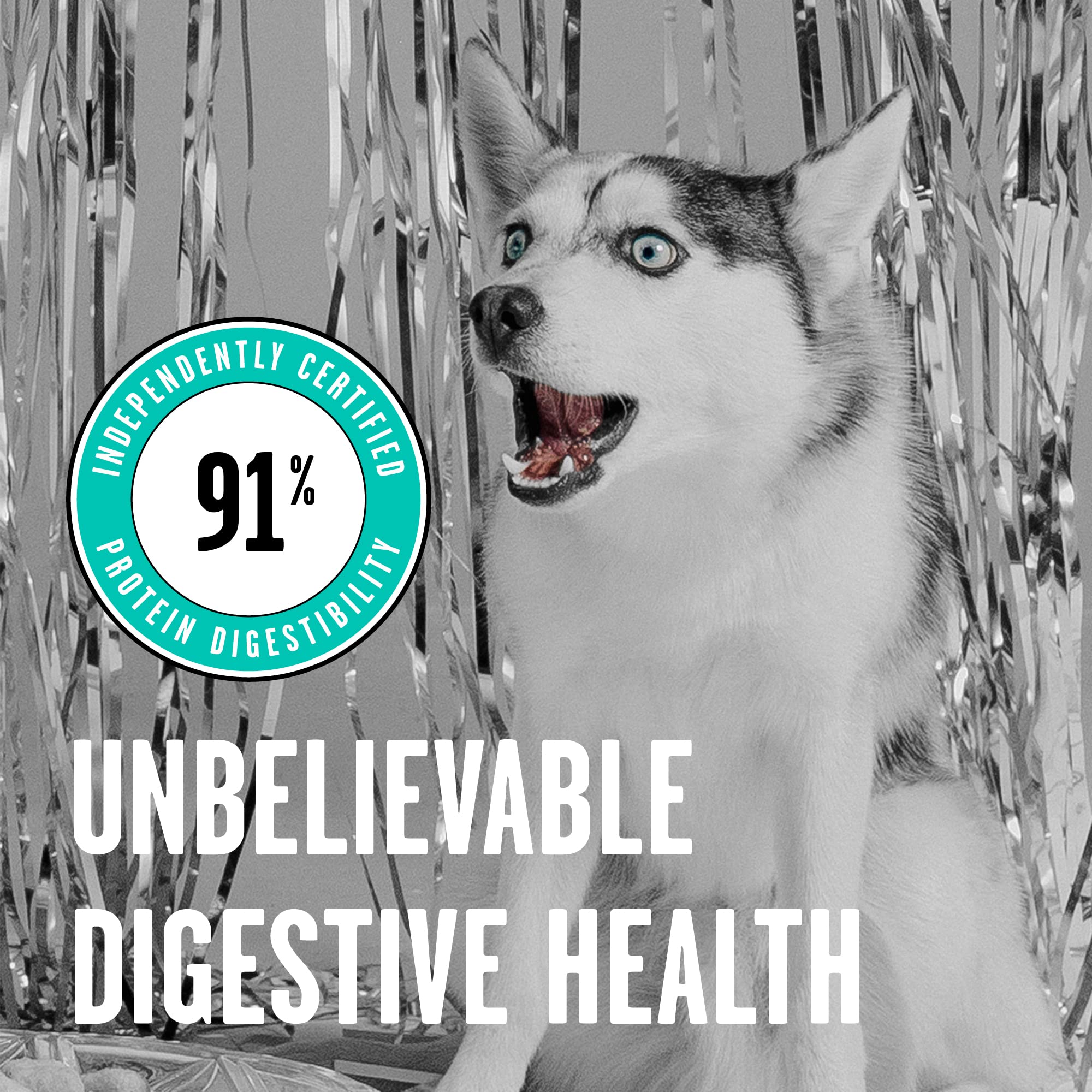 BIXBI Rawbble Dry Dog Food, Duck, 4 lbs - USA Made with Fresh Meat - No Meat Meal & No Corn, Soy or Wheat - Freeze Dried Raw Coa