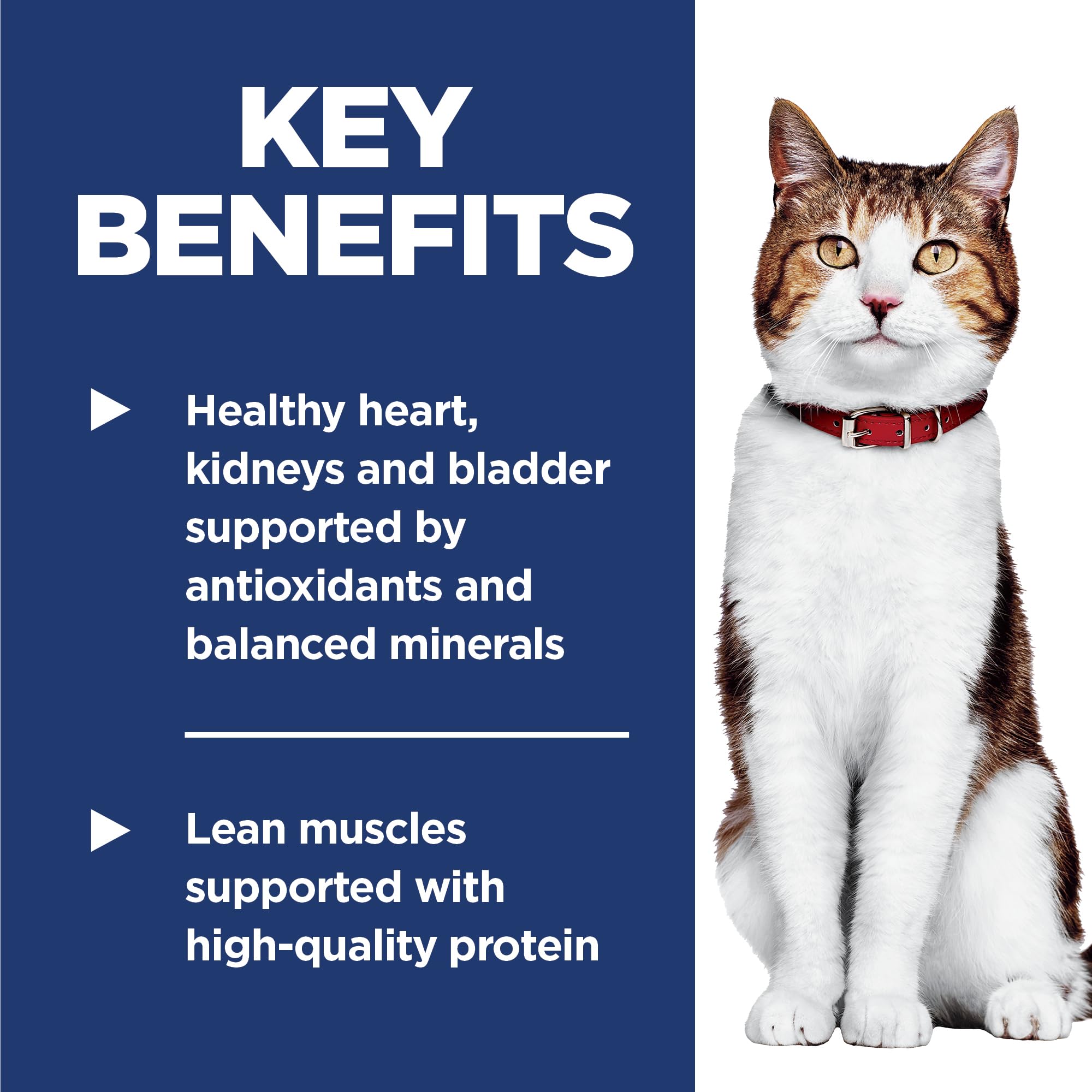 Hills Science Diet Adult 7+, Senior Adult 7+ Premium Nutrition, Dry Cat Food, Chicken Recipe, 16 lb Bag