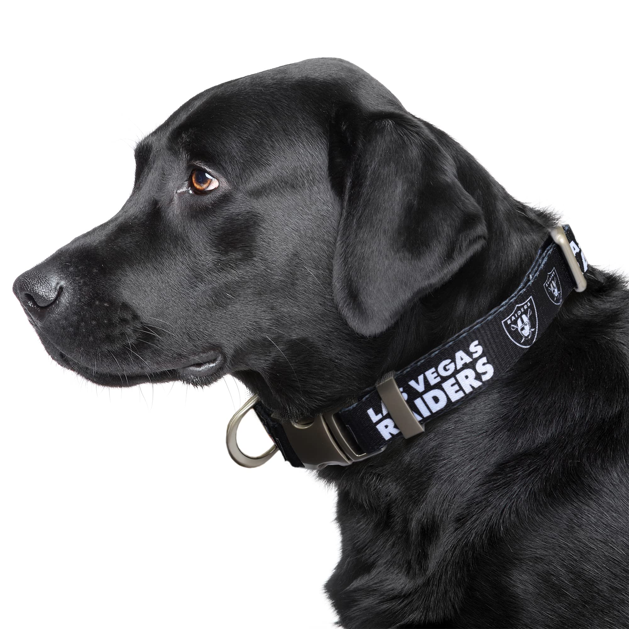 Littlearth Las Vegas Raiders Nfl Premium Pet Collar