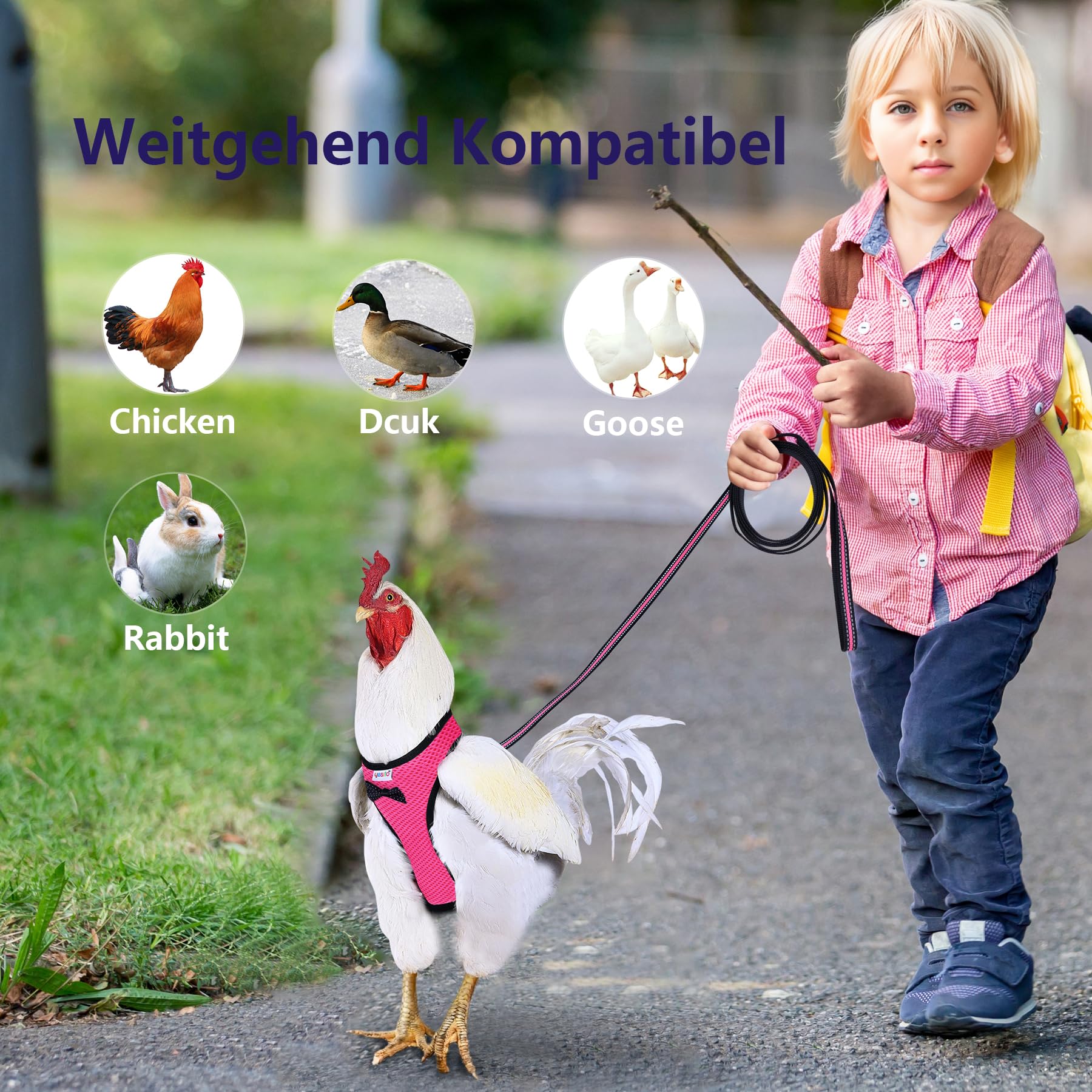 Yesito Chicken Harness Hen Size With 6Ft Matching Leash – Adjustable, Resilient, Comfortable, Breathable, Large Size, Suitable For Chicken Weighing About 6.6 Pound,Pink