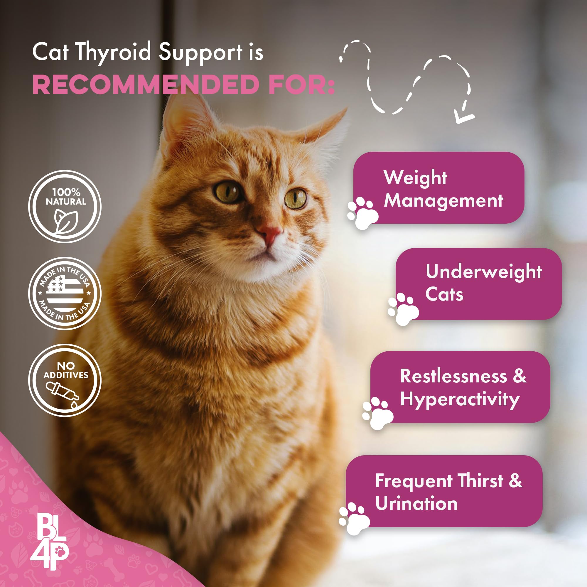 Cat Weight Gain & Hyperthyroidism Treatment, Safe and Effective Cat Appetite Stimulant, Thyroid and Metabolic Support, Weight Ma