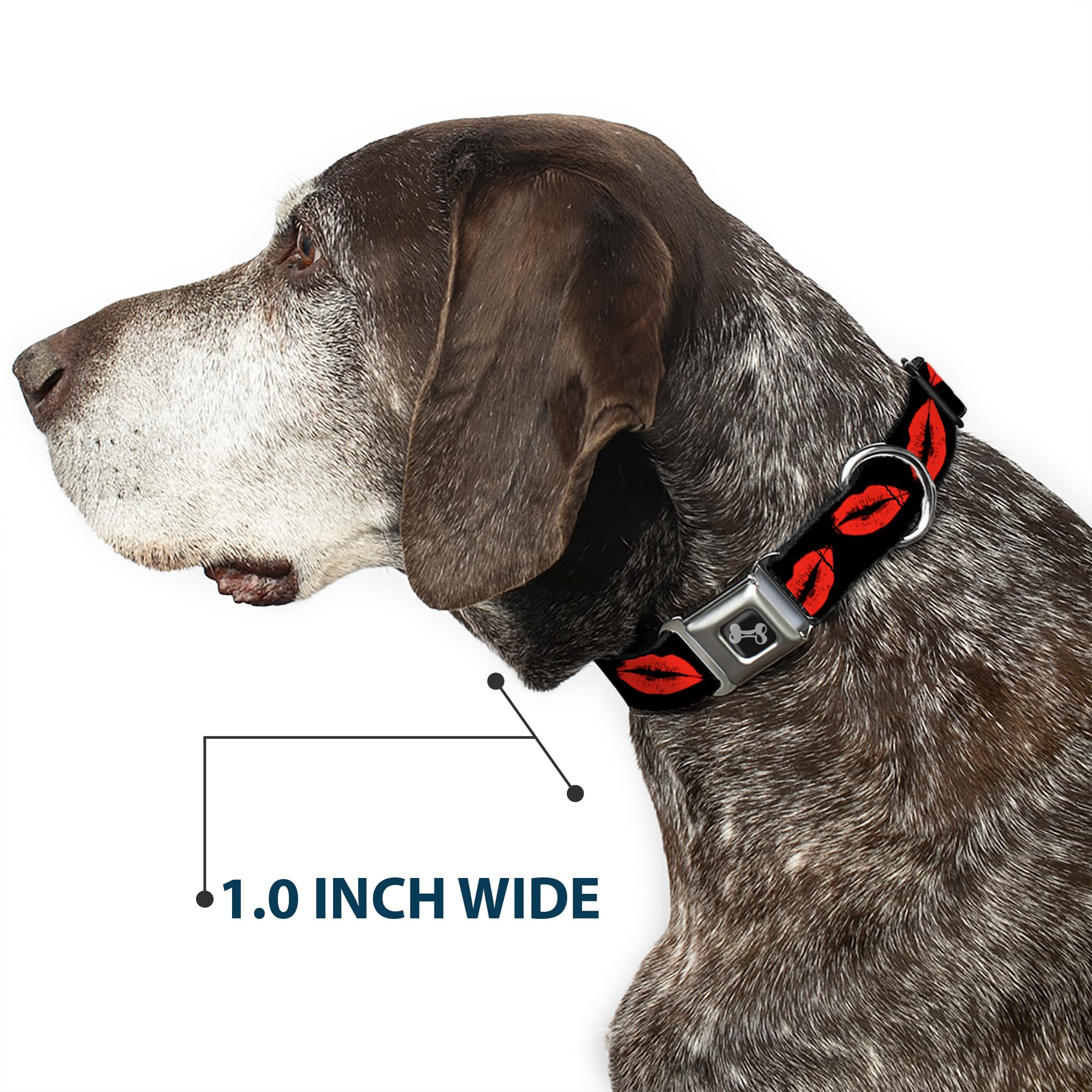 Buckle-Down Seatbelt Buckle Dog Collar - Kisses - 1 Wide - Fits 11-17 Neck - Medium