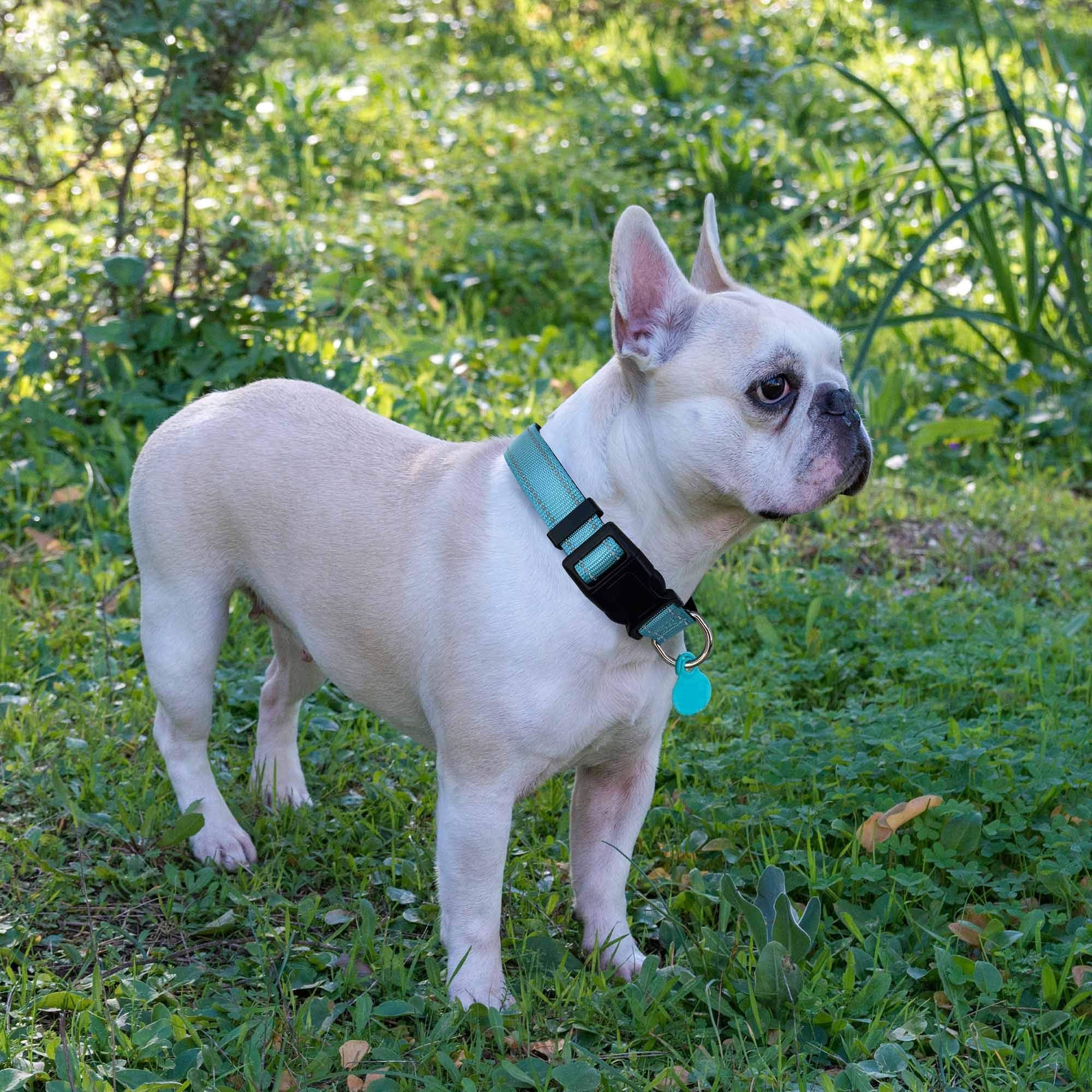 Ladoogo Reflective Dog Collar Padded With Soft Neoprene Breathable Adjustable Nylon Dog Collars For Small Medium Large Dogs (X-S