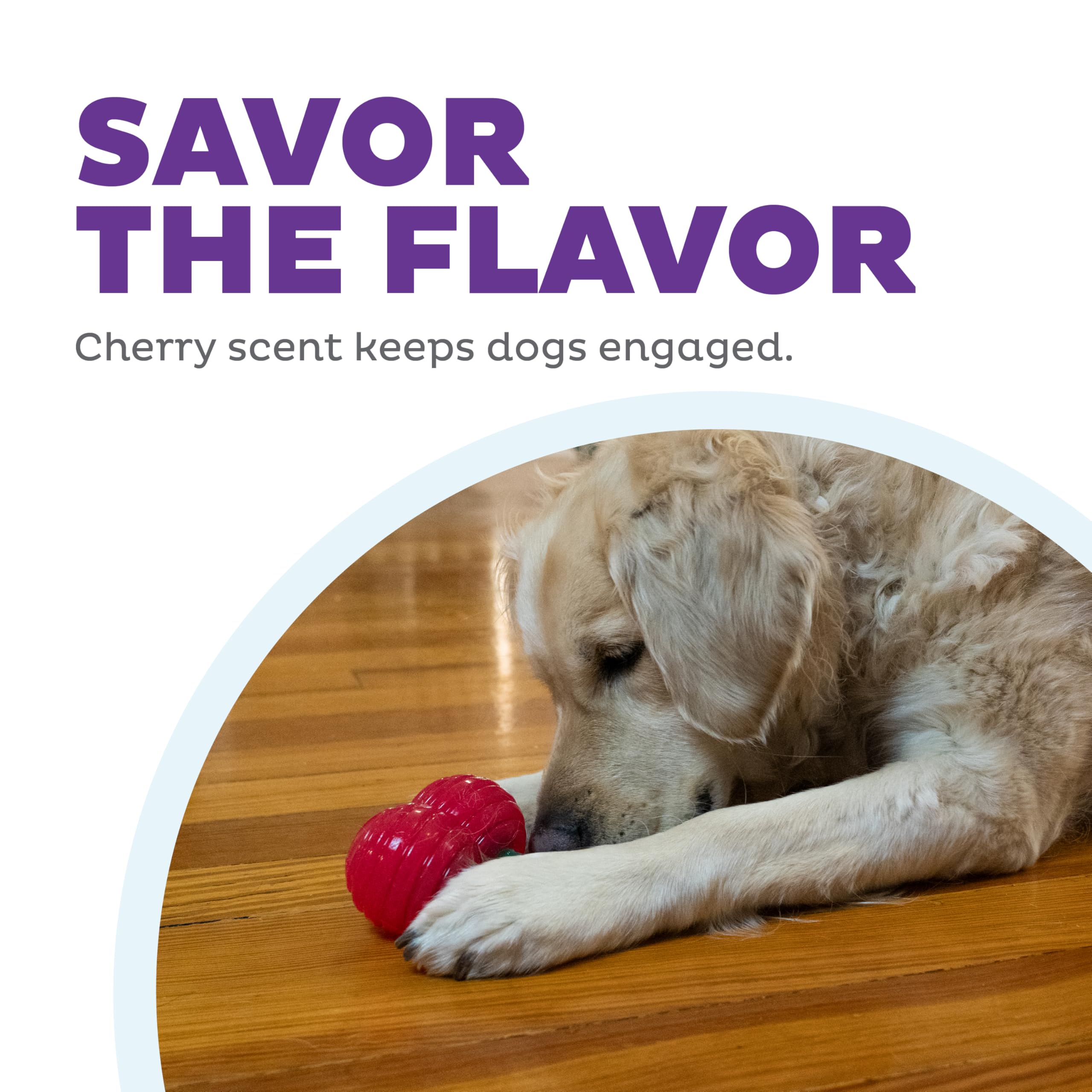 Outward Hound Gummiez Cherries 2-In-1 Dog Chew Toy And Treat Stuffer, Red