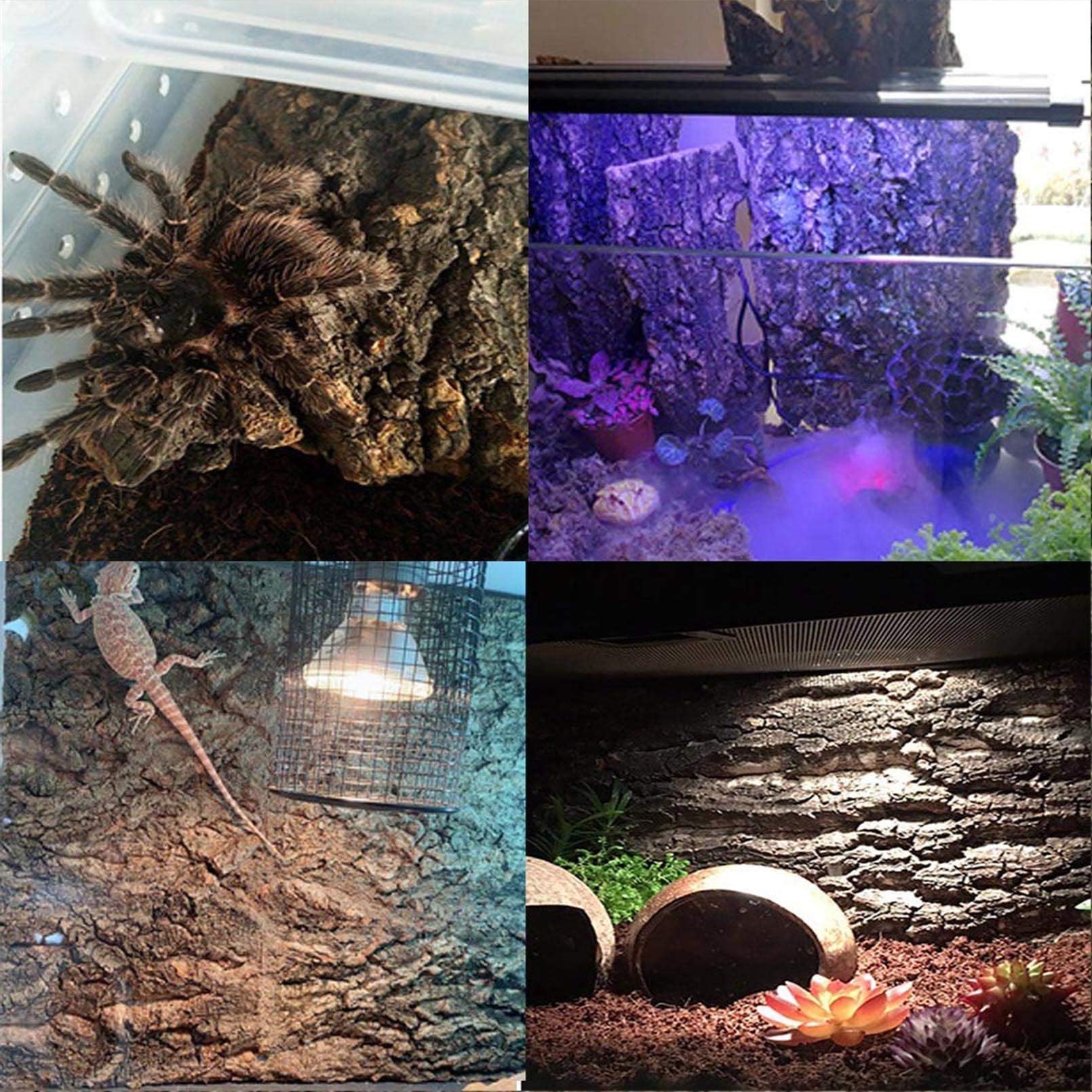 2Pcs Cork Terrarium Background 15.7X11.8In Natural Cork Large Bark Backdrop Reptile Climbing Mat Habitat Decor For Spider Lizard Chamelon Turtle Beared Dragon