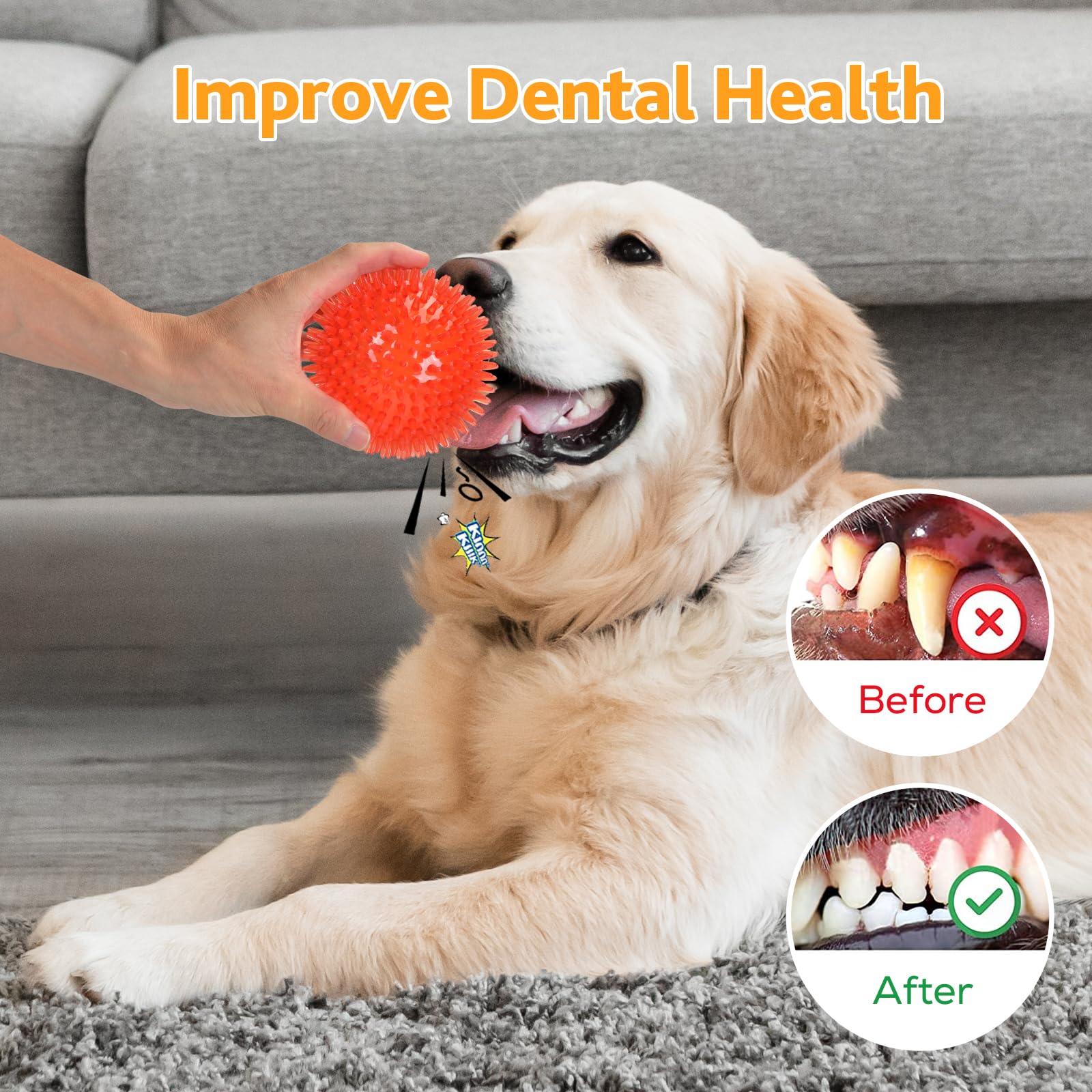 Petizer 6 Pack 2.5    Squeaky Dog Toy Balls, Floating Dog Pool Balls, Spiky Dog Balls, Durable Interactive Fetch Toys For Puppy,