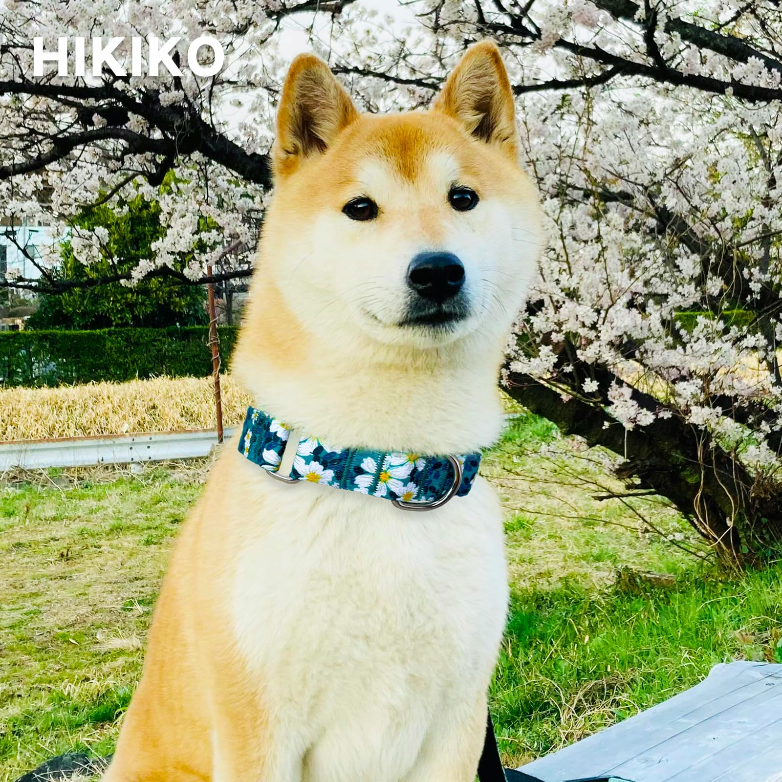 Hikiko Martingale Collar For Dogs With No Buckle Floral Daisy Dog Collar Soft Nylon No Pull Dog Collars For Extra Small Dogs,Gre