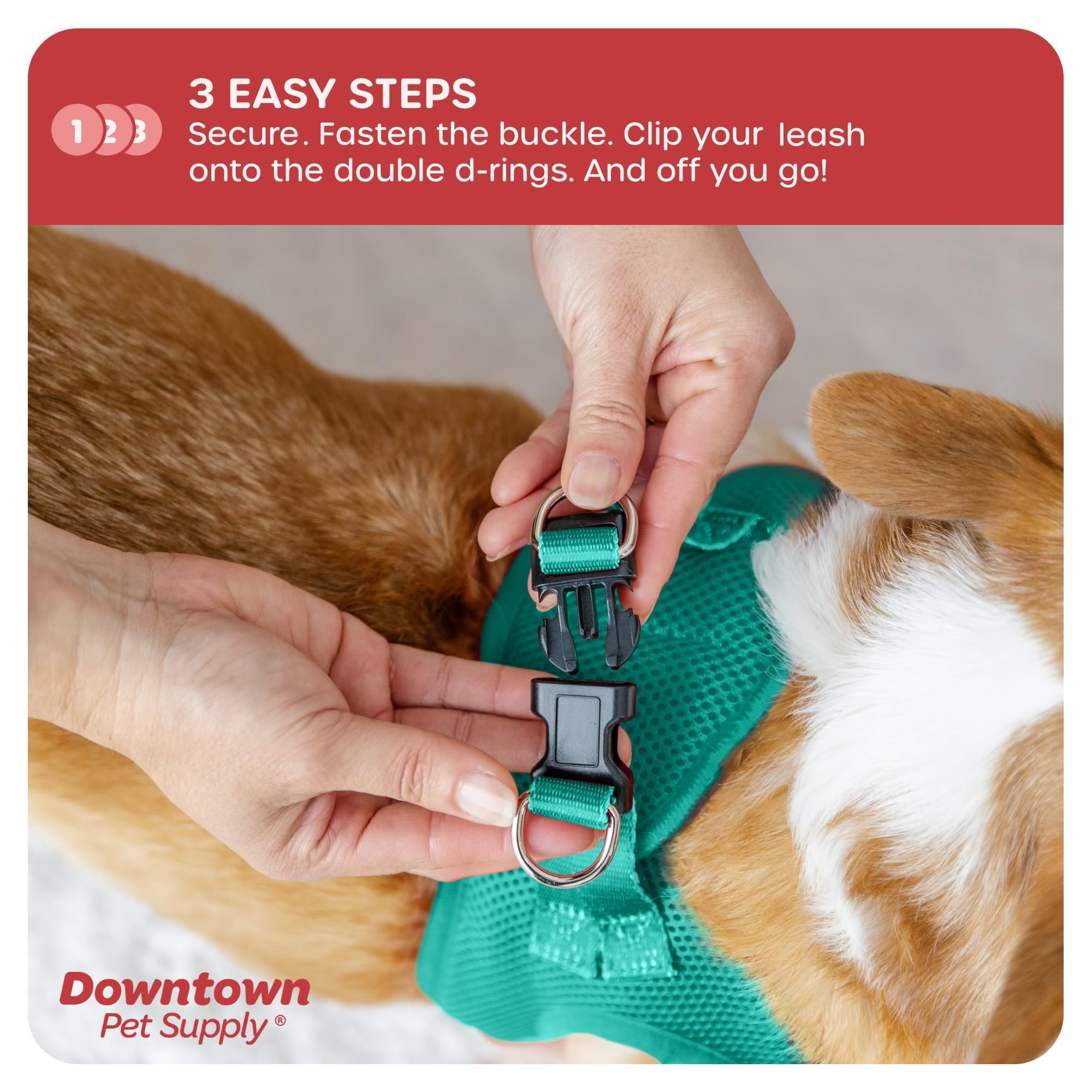 Downtown Pet Supply Step In Dog Harness For Teacup Dogs & Cats No Pull, Xx-Small, Bermuda Blue - Adjustable Harness With Padded