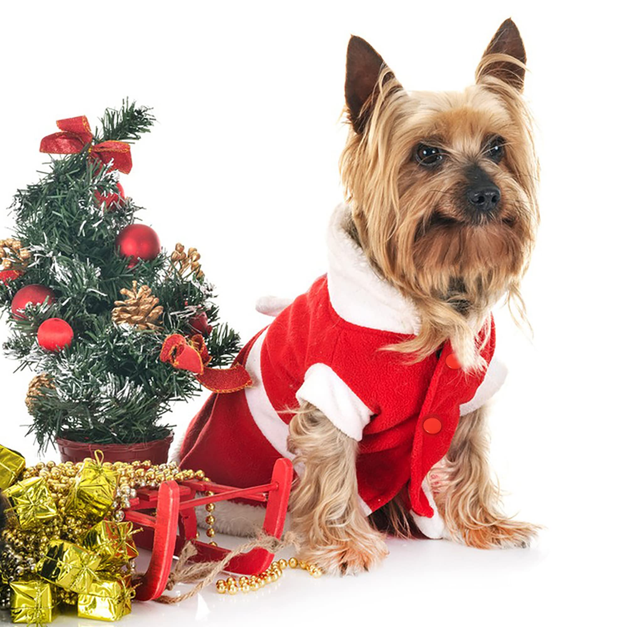 Dog Dresses For Small Medium Dogs Girl Pet Christmas Costumes Santa Dog Clothes Doggie Outfits Fall Winter Coats Puppy Kitty Hoodies