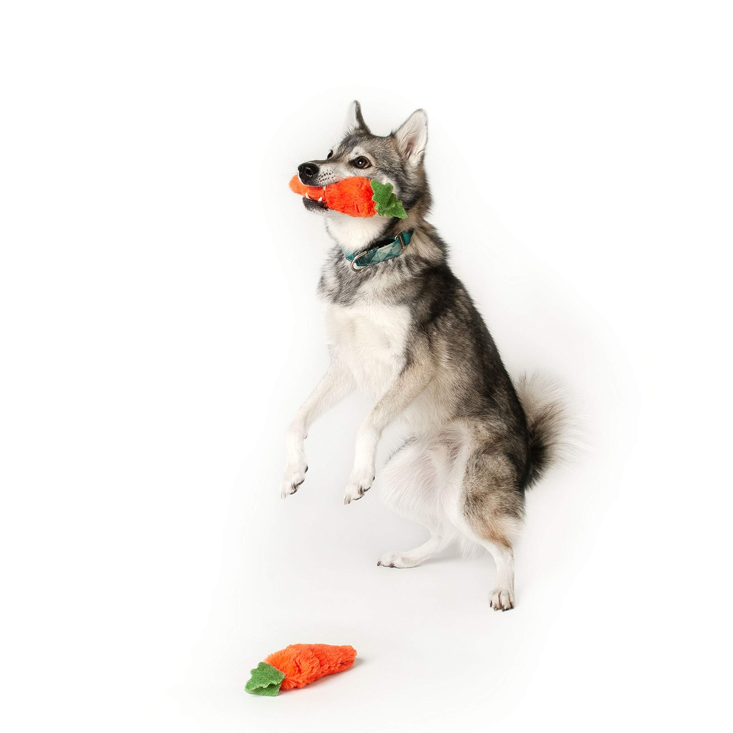 Midlee Plush Carrot Easter Dog Toy- Pack Of 2