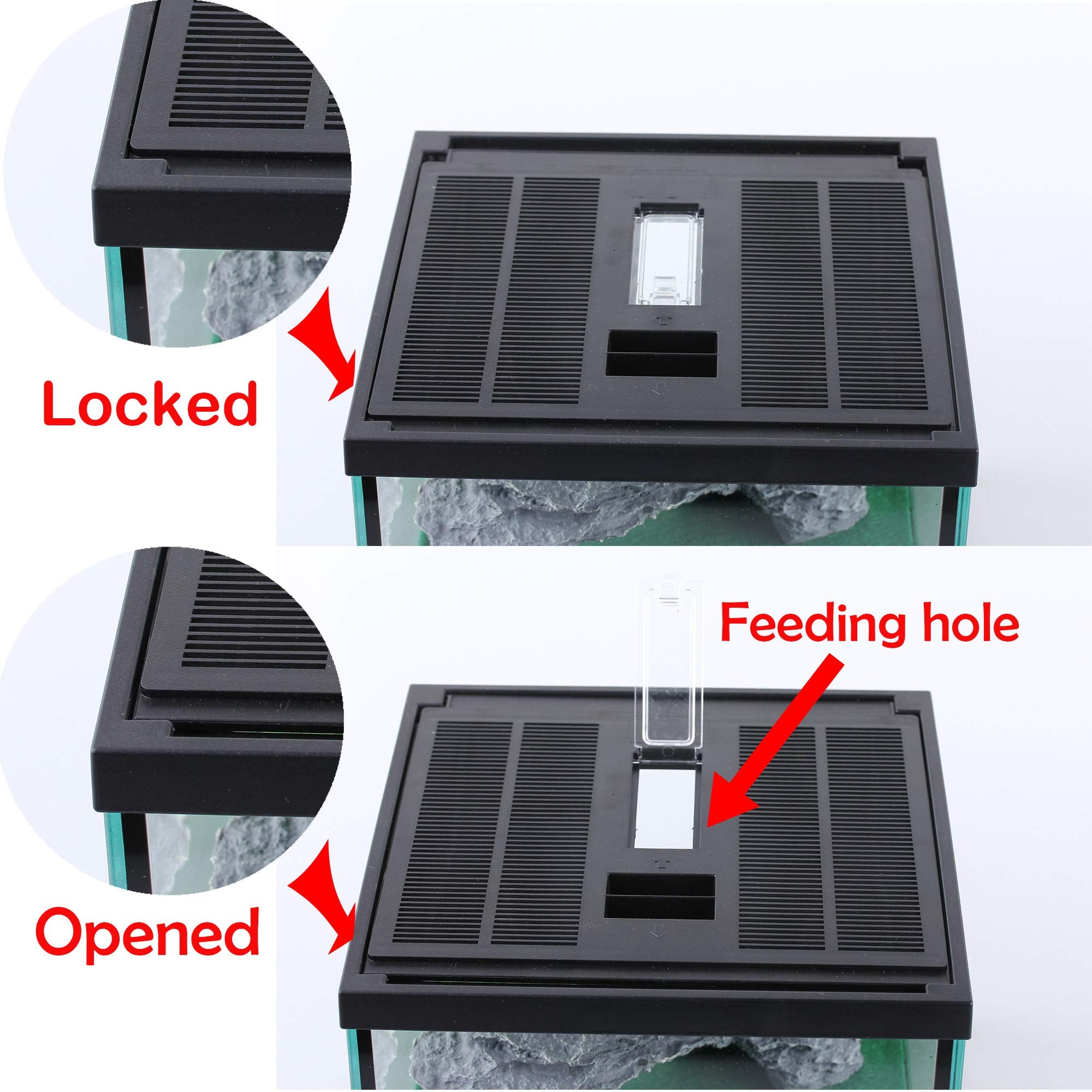 Crapelles Reptile Amphibians Tank, 7.8X7.8X5.9 Inches Terrarium Glass Box For Small Pet, Ventilation Transparency Clearly Visible Habitat