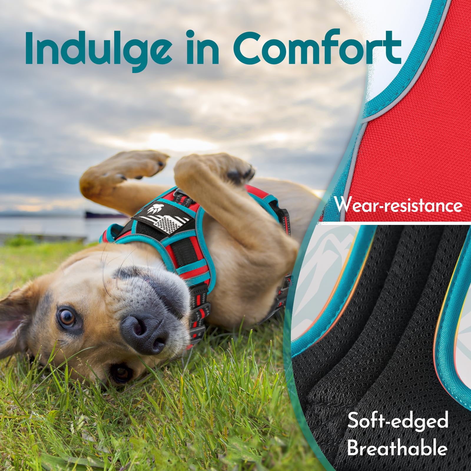 Eagloo Dog Harness Small Sized, Easy Wearing with 3 Buckles, Adjustable No Pull Pet Harness with 2 Rings for Walking, No Chock R