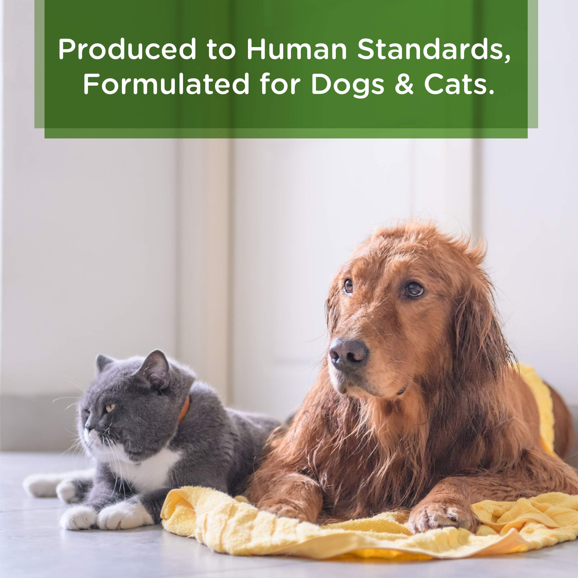 Lillian Ruff Calming Oatmeal Pet Shampoo For Dry Skin & Itch Relief With Aloe & Hydrating Essential Oils - Replenish Moisture & Deodorize -Gentle Dog Shampoo For Normal/Sensitive Skin (Gallon & Pump)