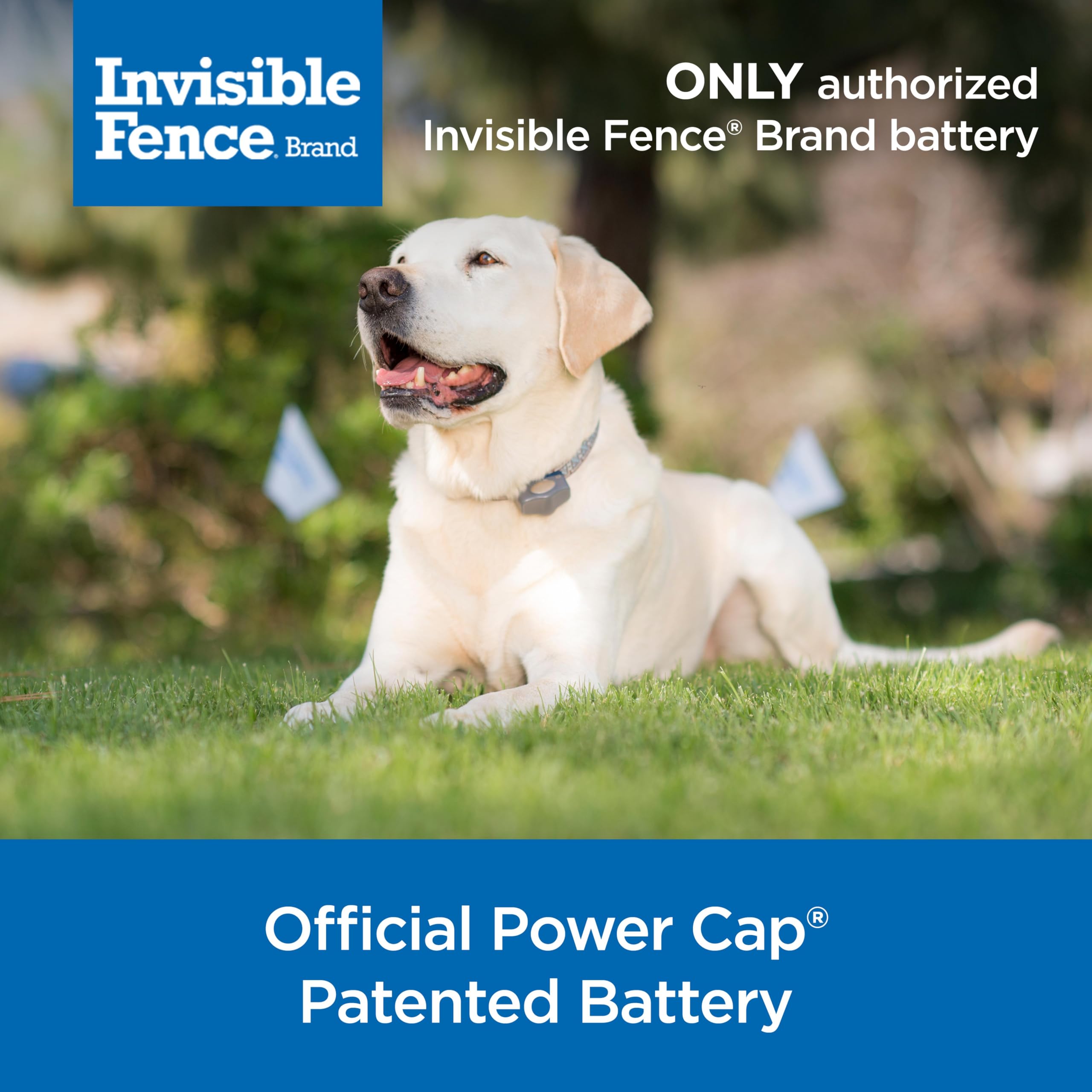 Invisible Fence Power Cap Battery Replacement for Electric Dog Collars, Model RAC00-17754, 1 Pack, Grey