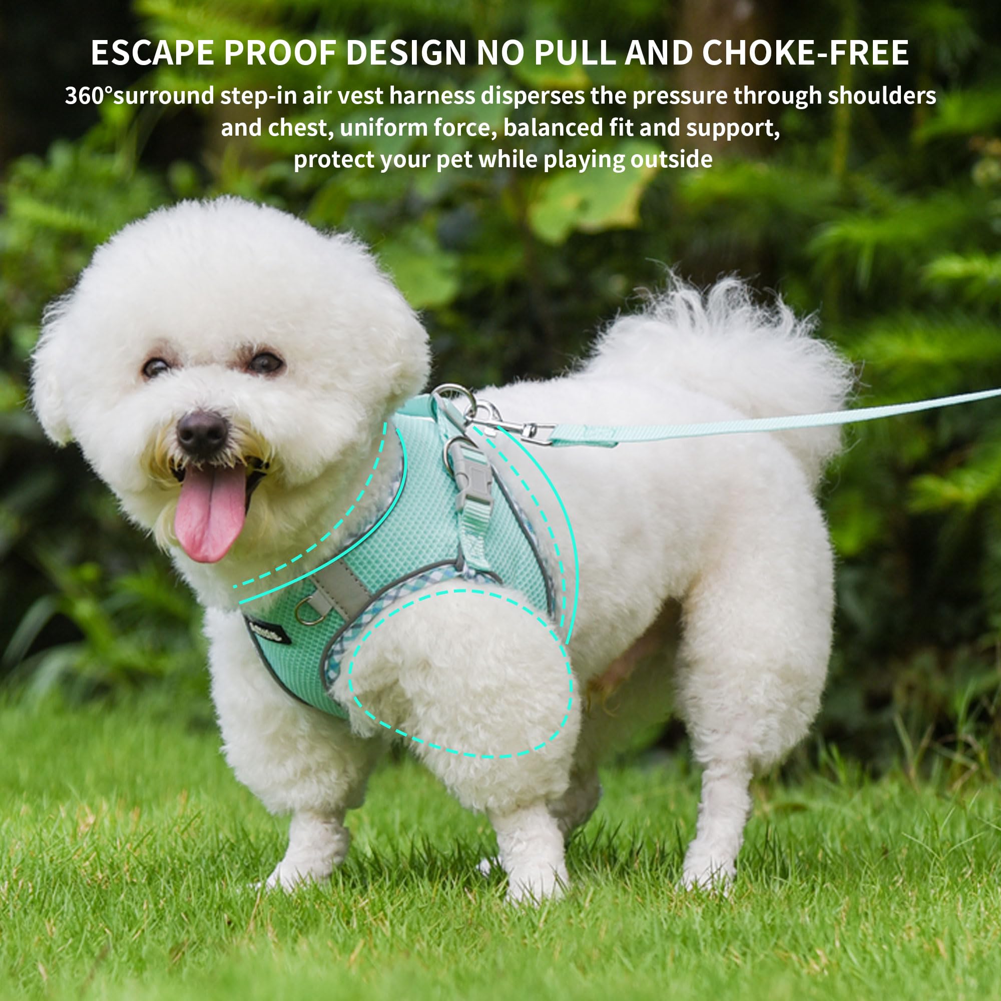 AIITLE Dog Harness and Leash Set - Ultra-Comfortable XXS-XL Vest with Strong hook and loop & Glow-in-Dark Reflective Strips, Cha