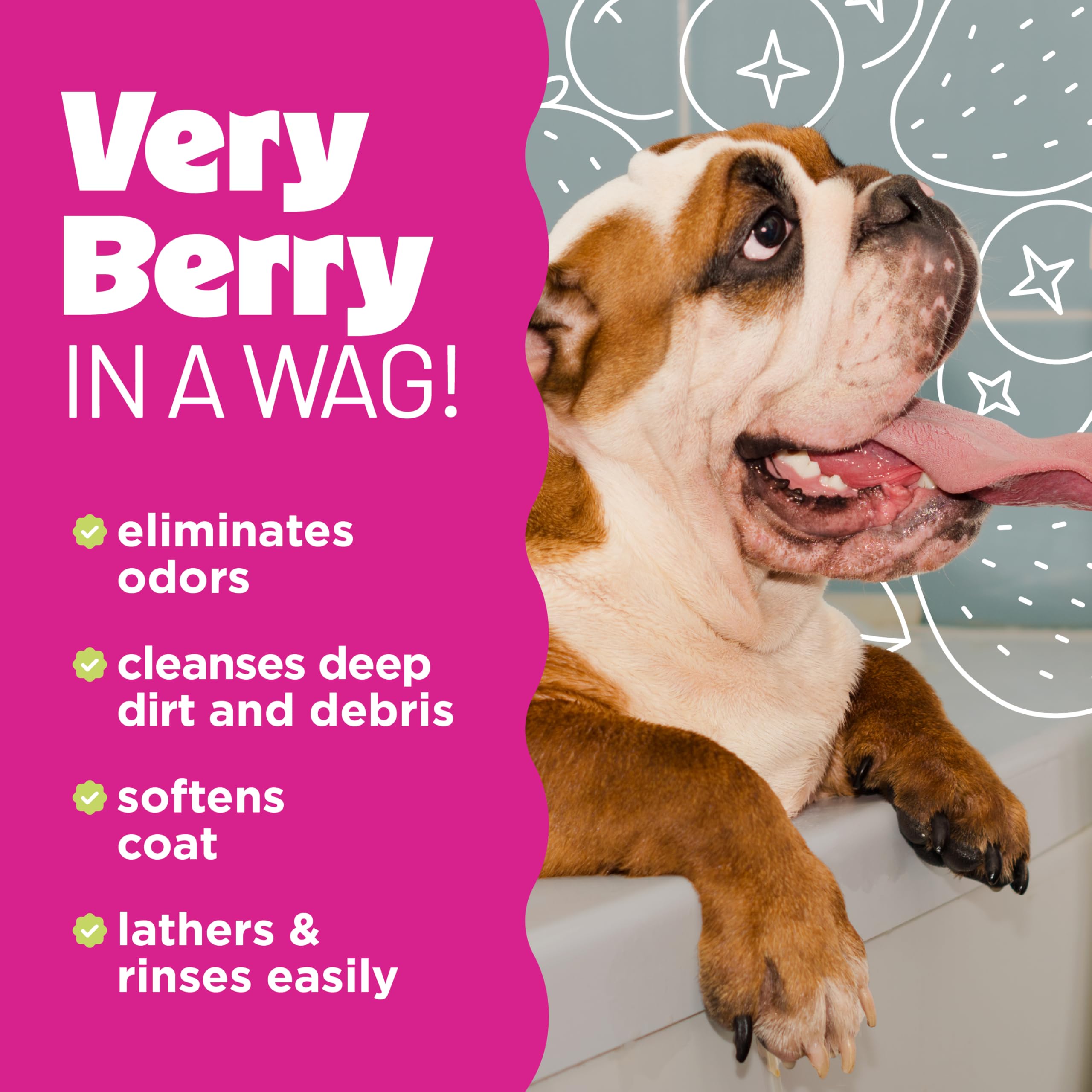 TropiClean Deodorizing Dog Shampoo for Smelly Pets, Professional Dog Shampoo, Long Lasting Odor Control, Puppy Safe, USA Made, B