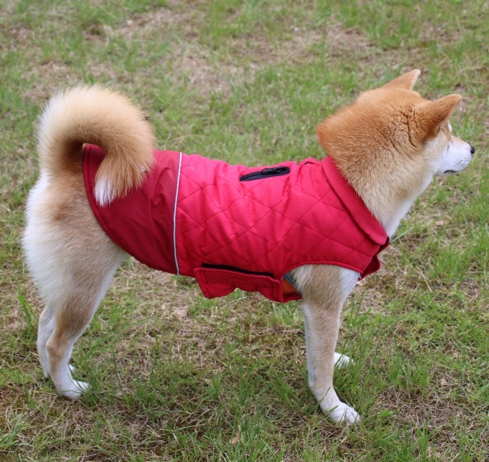 Vecomfy Reversible Dog Coats For Medium Dogs Waterproof Warm Dog Jacket For Cold Winter,Red L