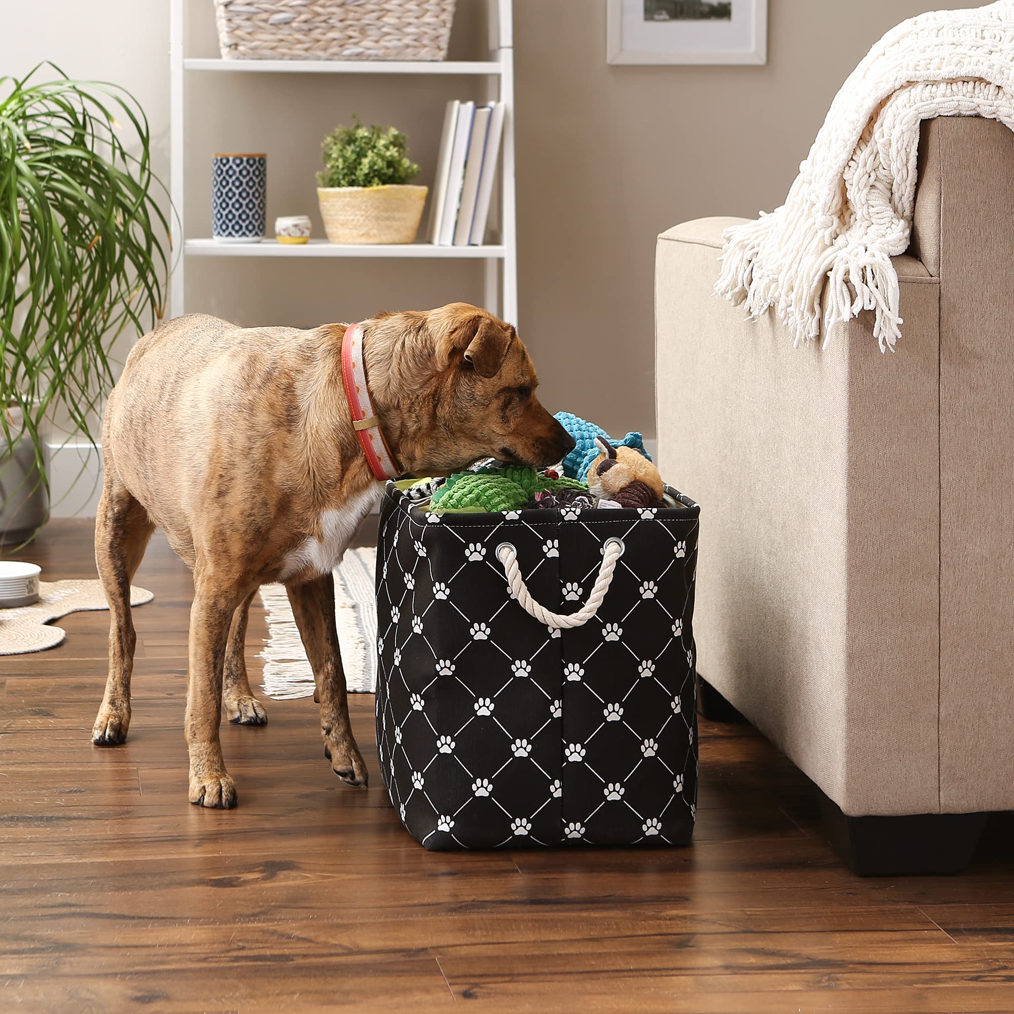 Bone Dry Pet Storage Paw and Bone, Trellis Collection, Large Rectangle, 17.5x12x15 Black
