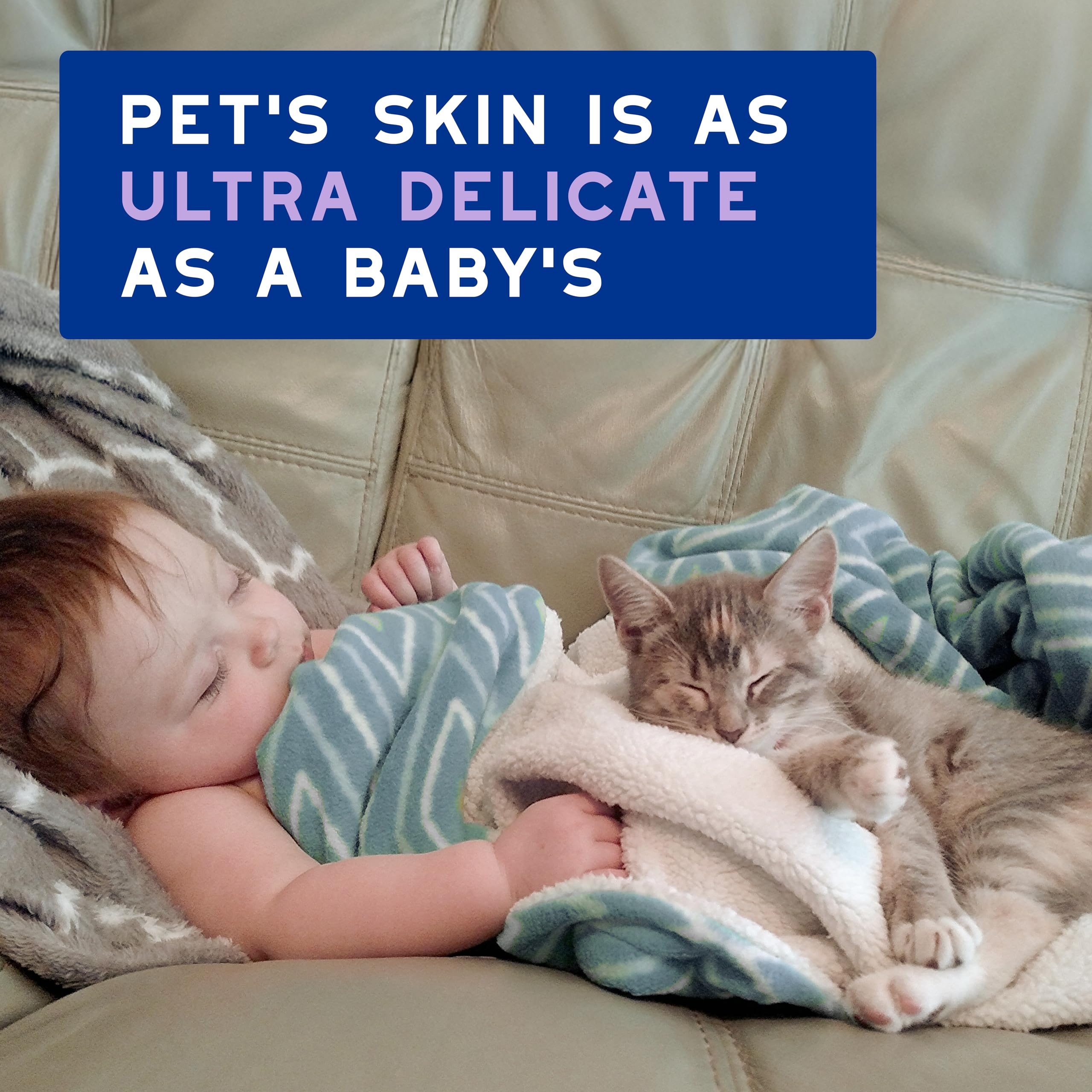 Douxo Skin & Coat Spa - Ultra-Safe Low-Stress Refresh Leave-On Mousse For Cats, 10 Fl Oz, Safely Cleans And Refreshes The Coat,