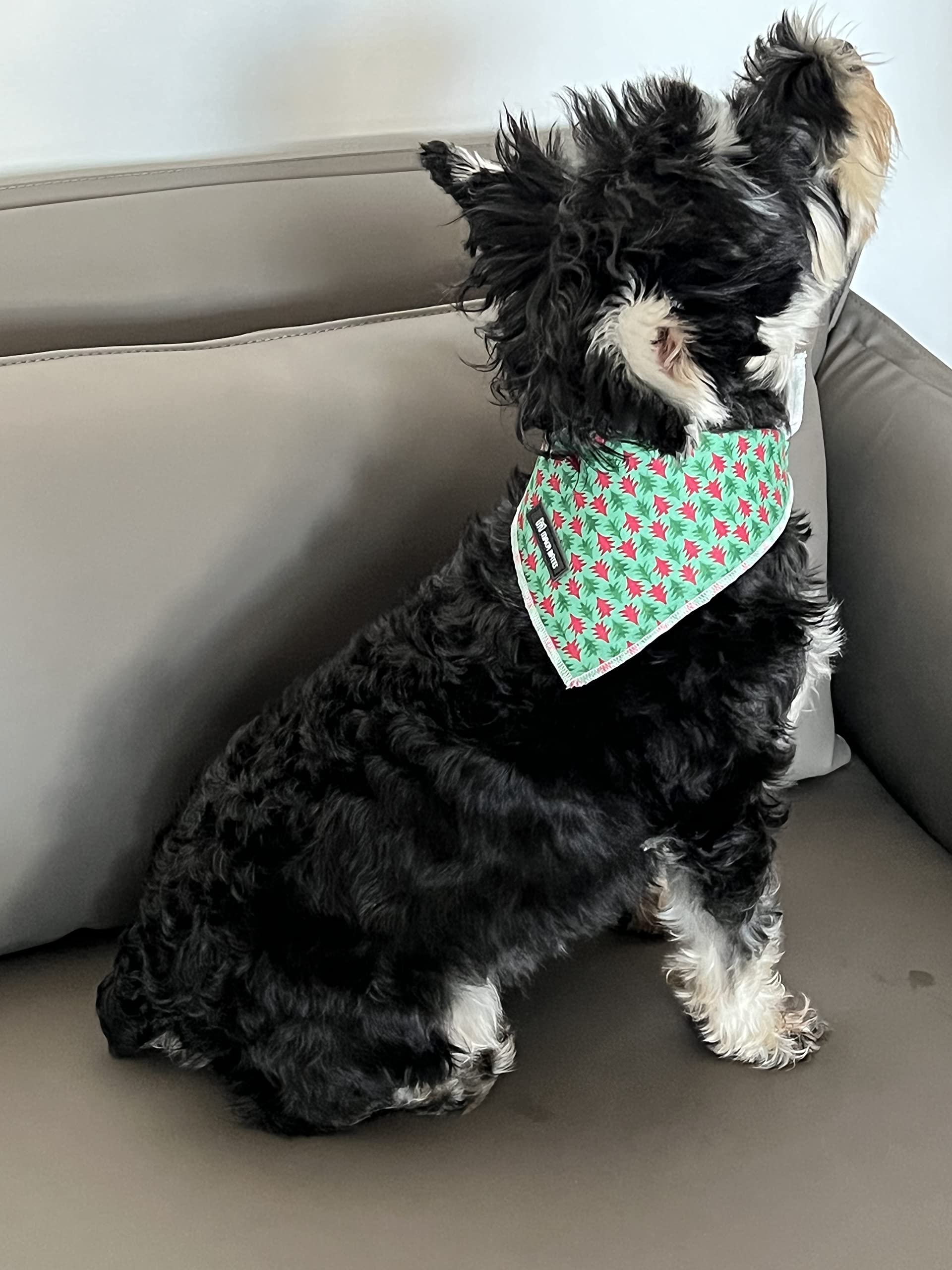 Maca Bates Christmas Dog Collar With Bow Tie & Flower Tie, Dog Bandana For Small Medium Large Dogs,Elk Christmas Tree Winter Dog