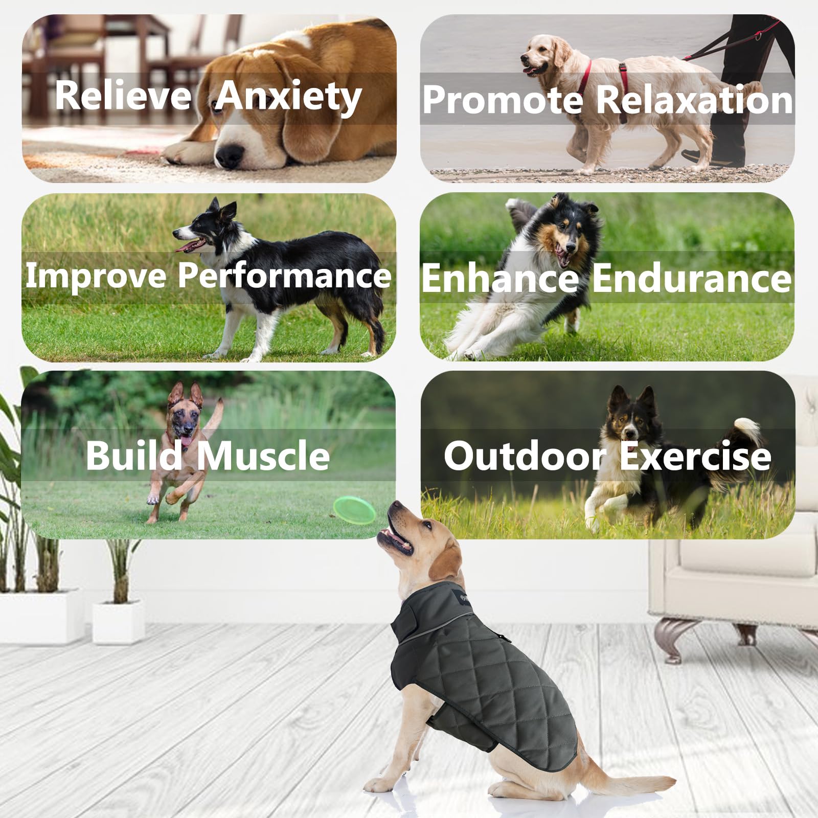 Hchyey Weighted Dog Vest, Tactical Weight Coat With Beads For Dogs Anxiety- Relieve Stress, Build Muscle & Optimize Health, Prem