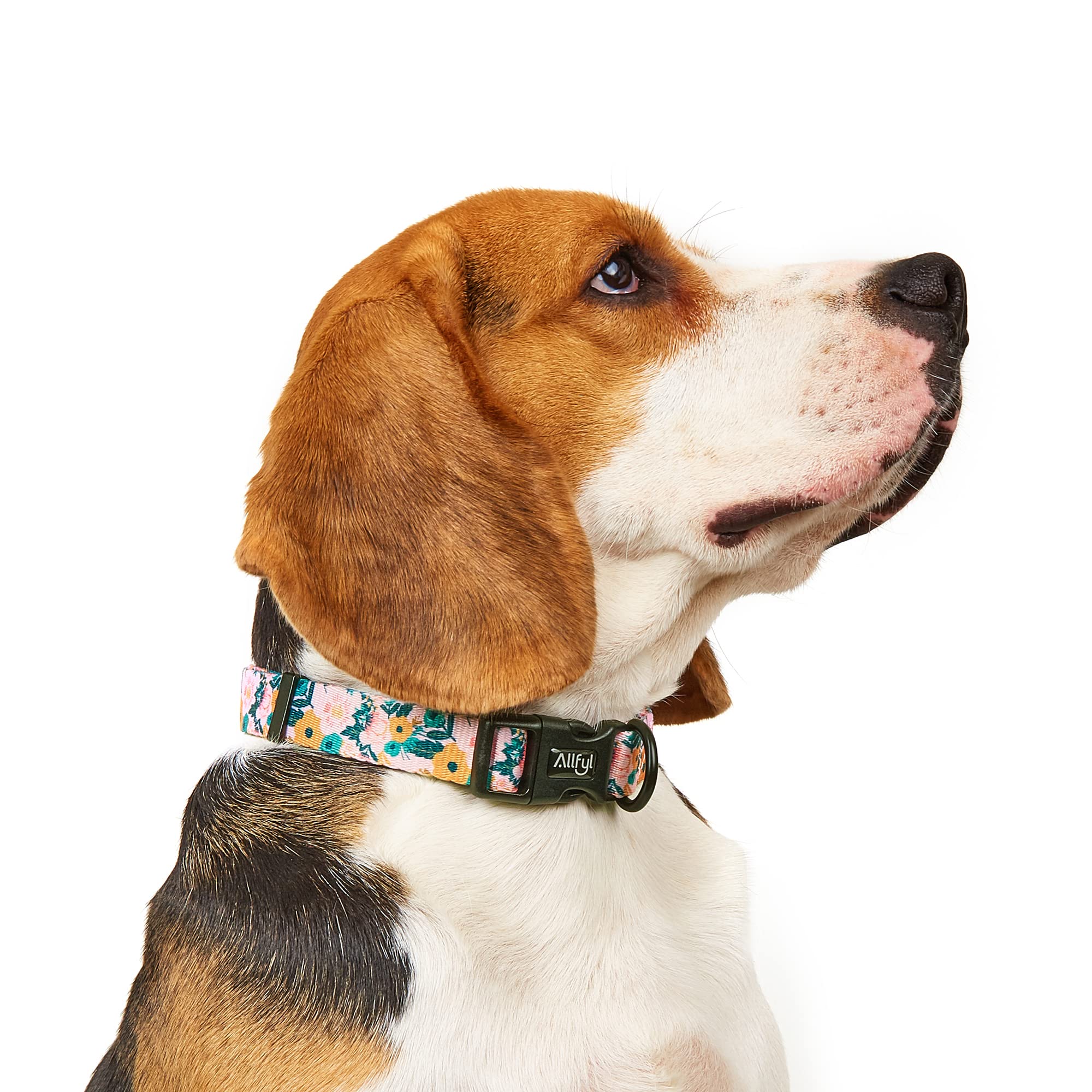 Allfyl Dog Collar For Small Dogs Floral Dog Collars With Quick Release Safety Buckle Soft Comfortable Cute Pet Collar For Girl Dog Boy Dog