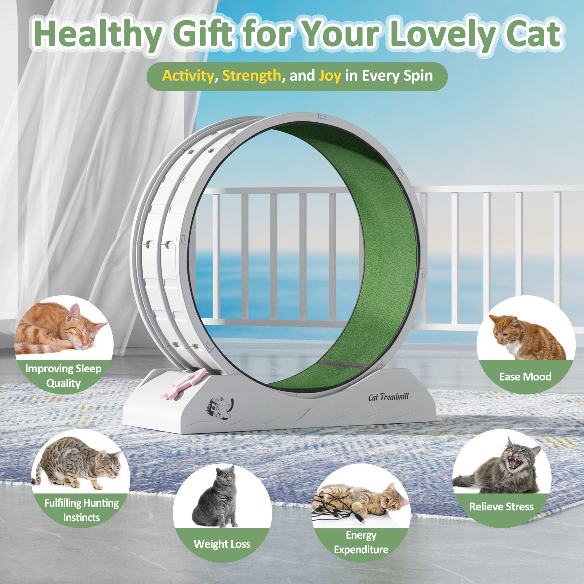 DAUSOLA Cat Exercise Wheel, 31.5 Inch Cat Treadmill for Indoor Cats, Cats Running Wheel with Updated Enhanced Base and Carpeted