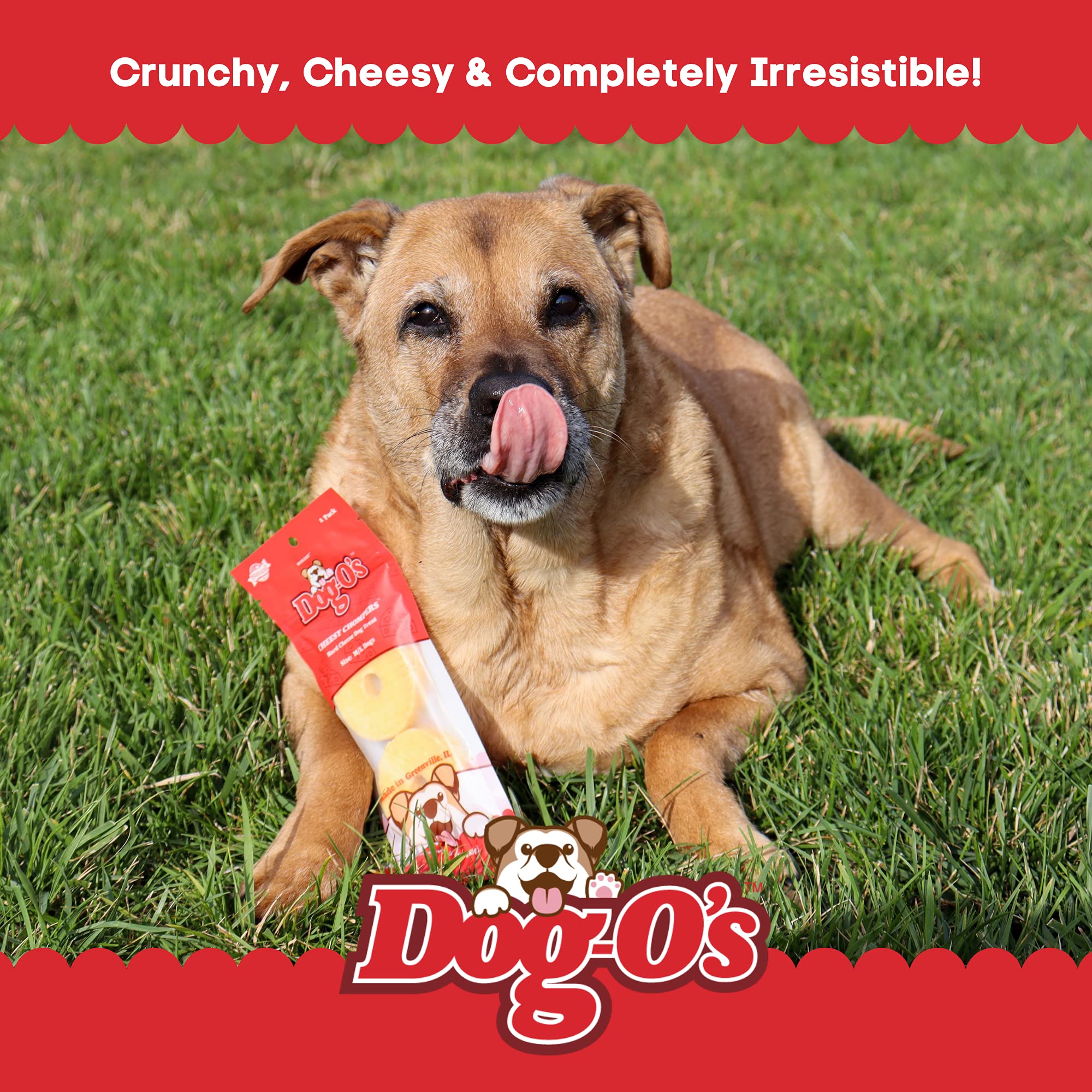 Marcoot Dog-Os Cheesy Chompers, All-Natural, Made in The USA, Grain Free, Real Cheese Treats for Medium & Large Dogs (Pack of 2
