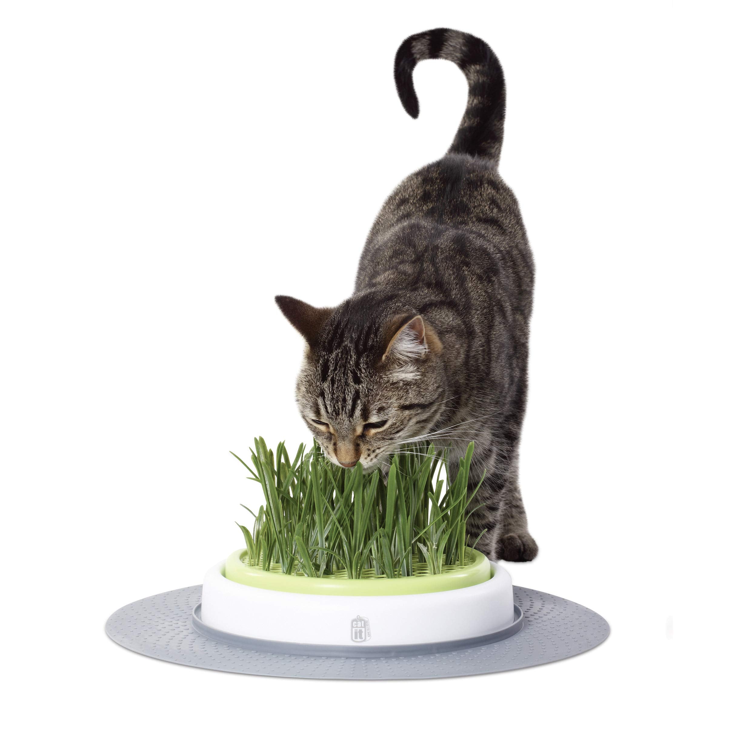 Catit Design Senses Grass Garden Kit 1x70g