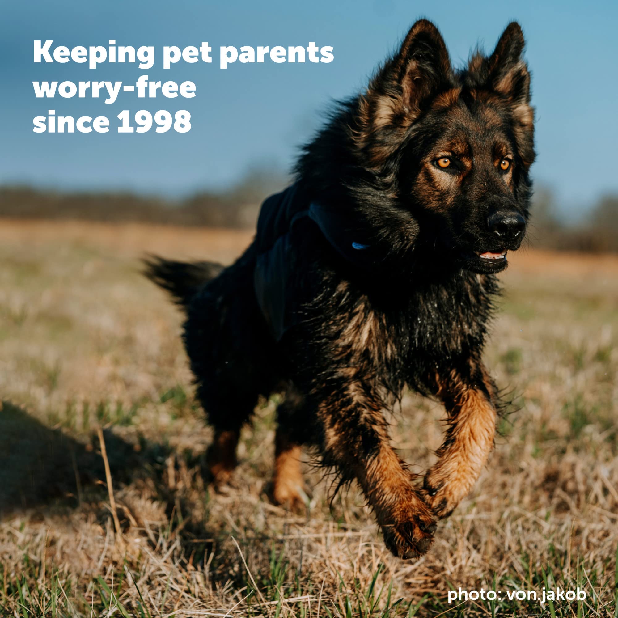 Petsafe Yardmax Rechargeable In-Ground Dog Fence (500 Ft 1/3 Acre), Underground Dog Containment Kit, Covers Up To 10 Acres, Elec