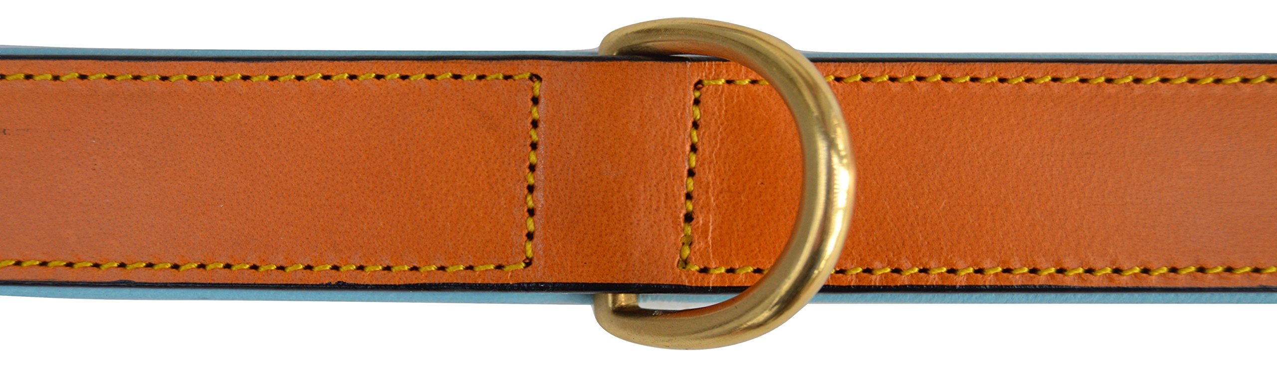 Soft Touch Collars Padded Leather Dog Collar, Medium, 20" Long, Tan/Teal, Neck Size 14.5" to 17.5"