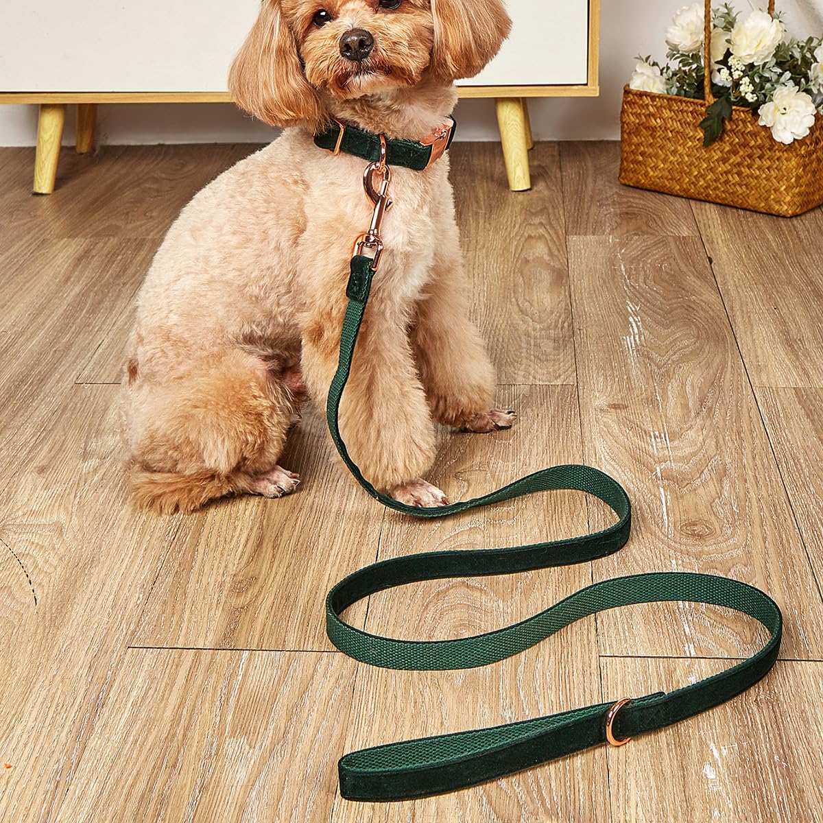 Jay D.L Dog Collar And Leash Set,Soft & Comfy Velvet Dog Collars With Heavy Duty Metal Buckle And Matching Lead Adjustable For S