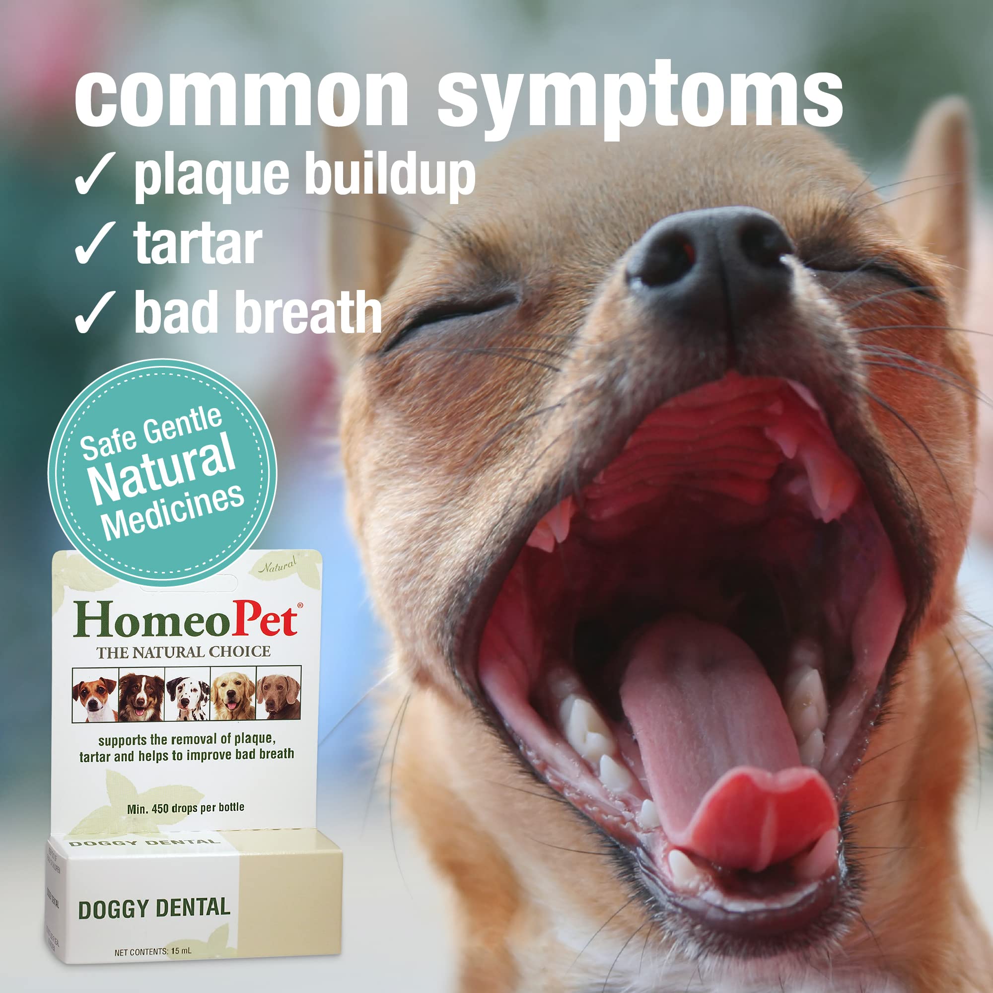 HomeoPet Doggy Dental, Dental Care for Dogs, 15 Milliliters